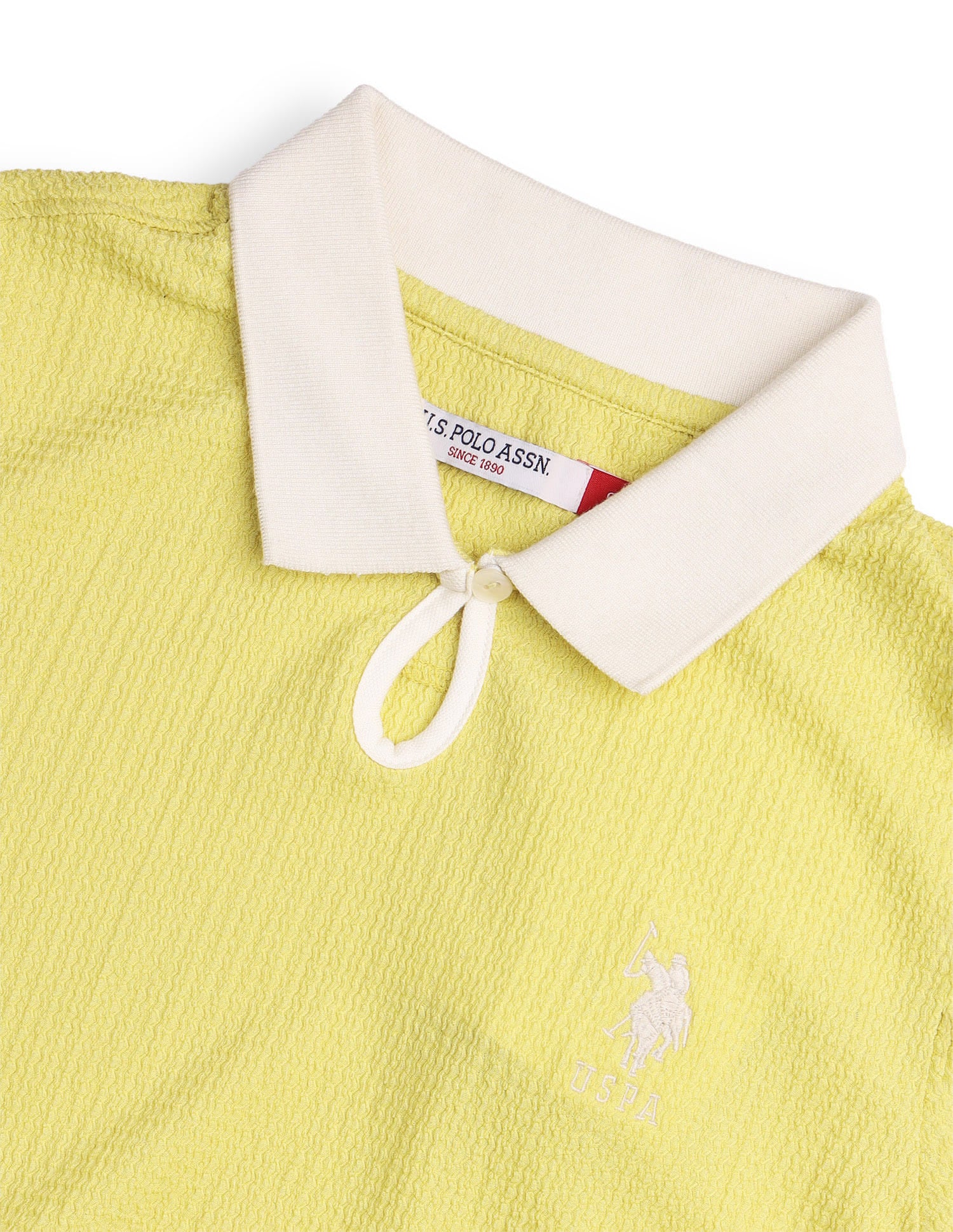 Contrast Collar With From Key Hole Tectured Polo Green - U.S. Polo Assn. India | Large