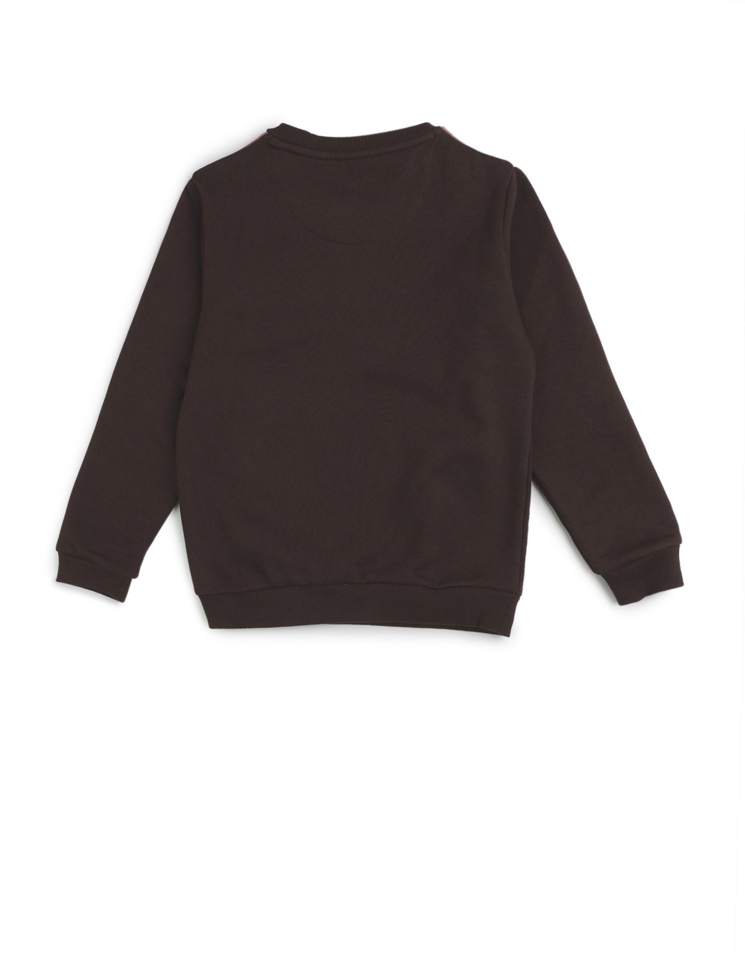 Boys Solid Regular Fit Sweatshirt Dark Brown - U.S. POLO ASSN. | Large