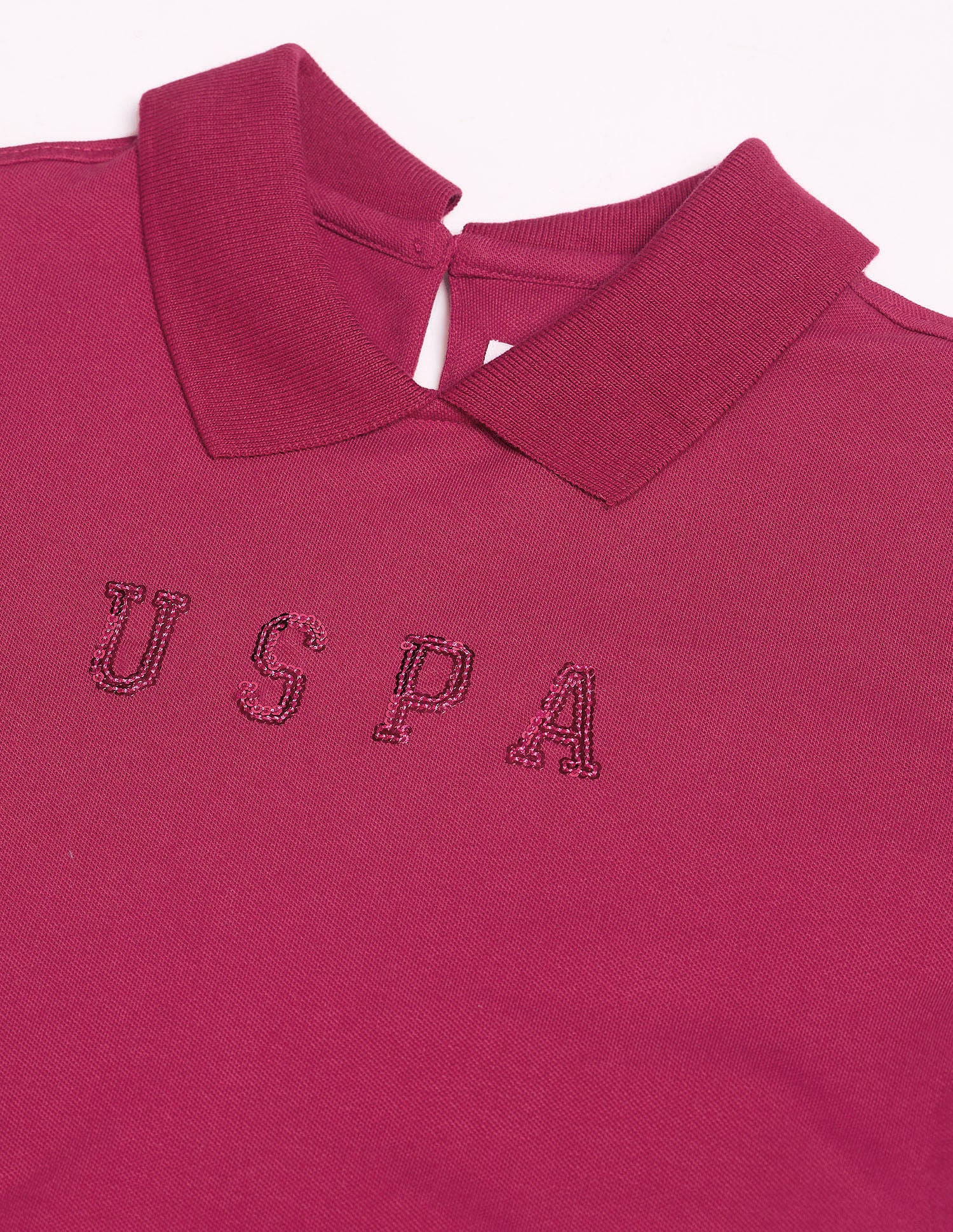 Brand Regular Fit Polo Shirt Dark Pink - U.S. POLO ASSN. | Large