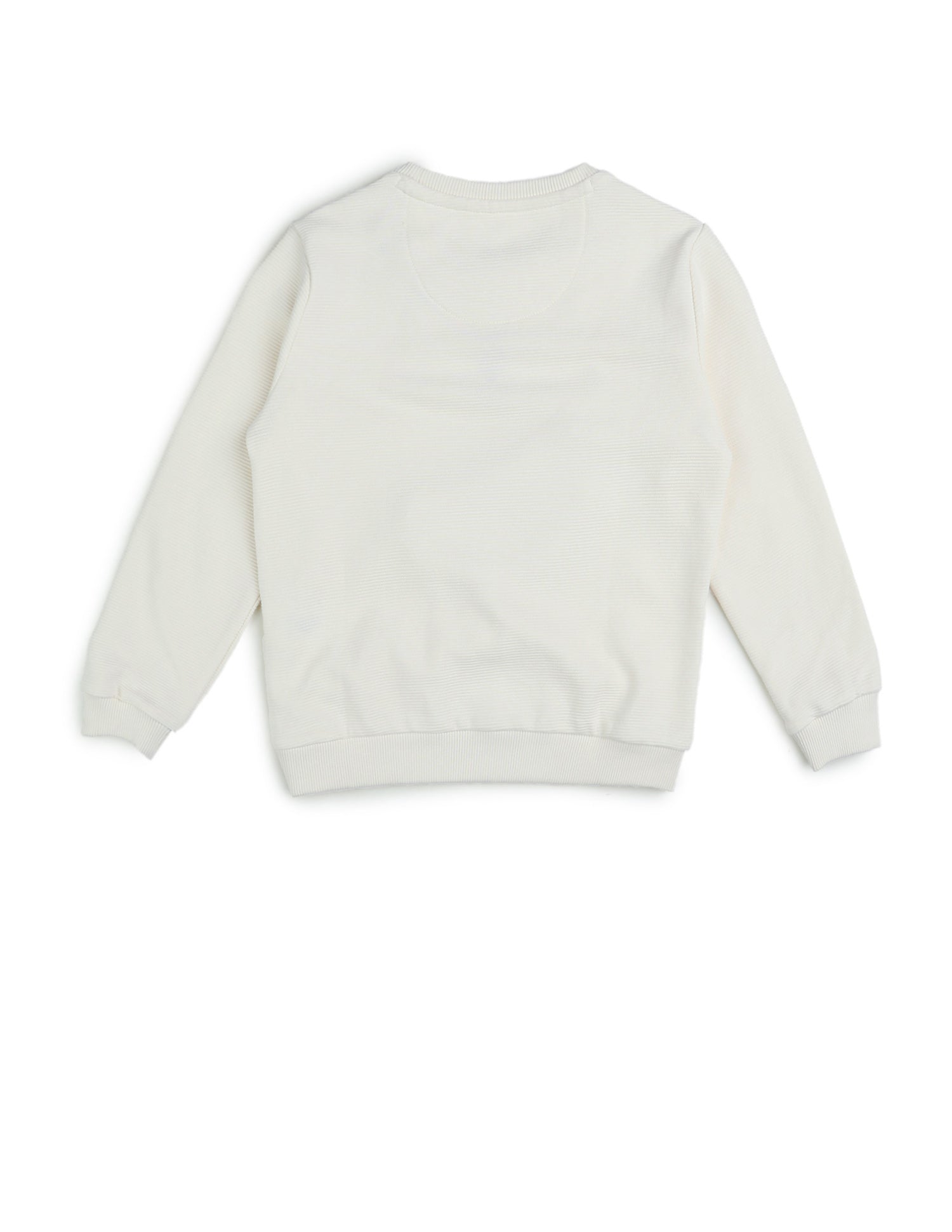 Boys Textured patterned Knit Regular Fit Sweatshirt Off White - U.S. POLO ASSN. | Large