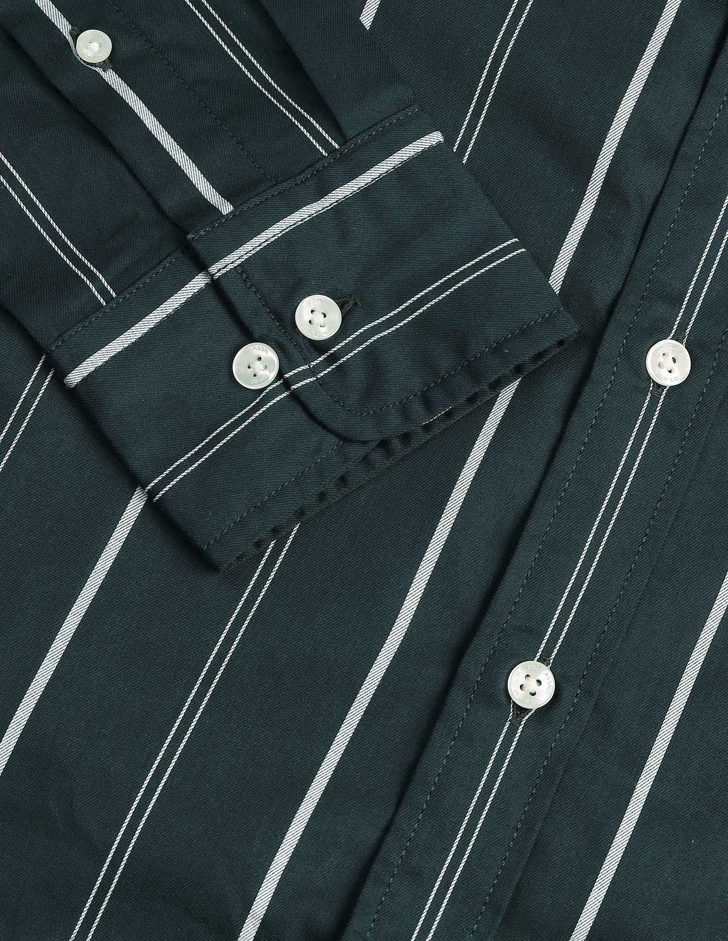 Vertical Striped Pure Cotton Shirt Dark Green - U.S. Polo Assn. India | Large