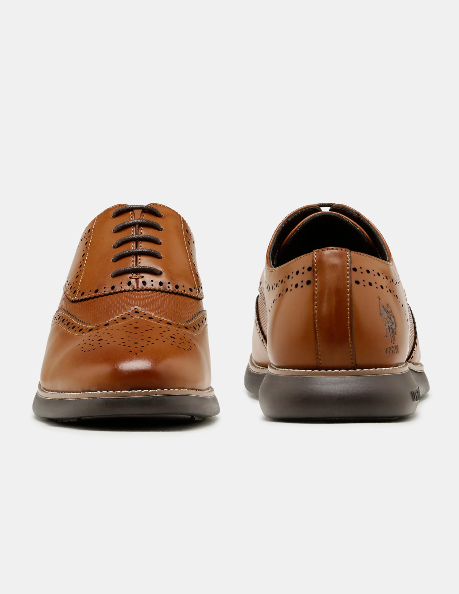 Round Toe Wingtip Marco 2.0 Brogues Tan - U.S. Polo Assn. India | Large