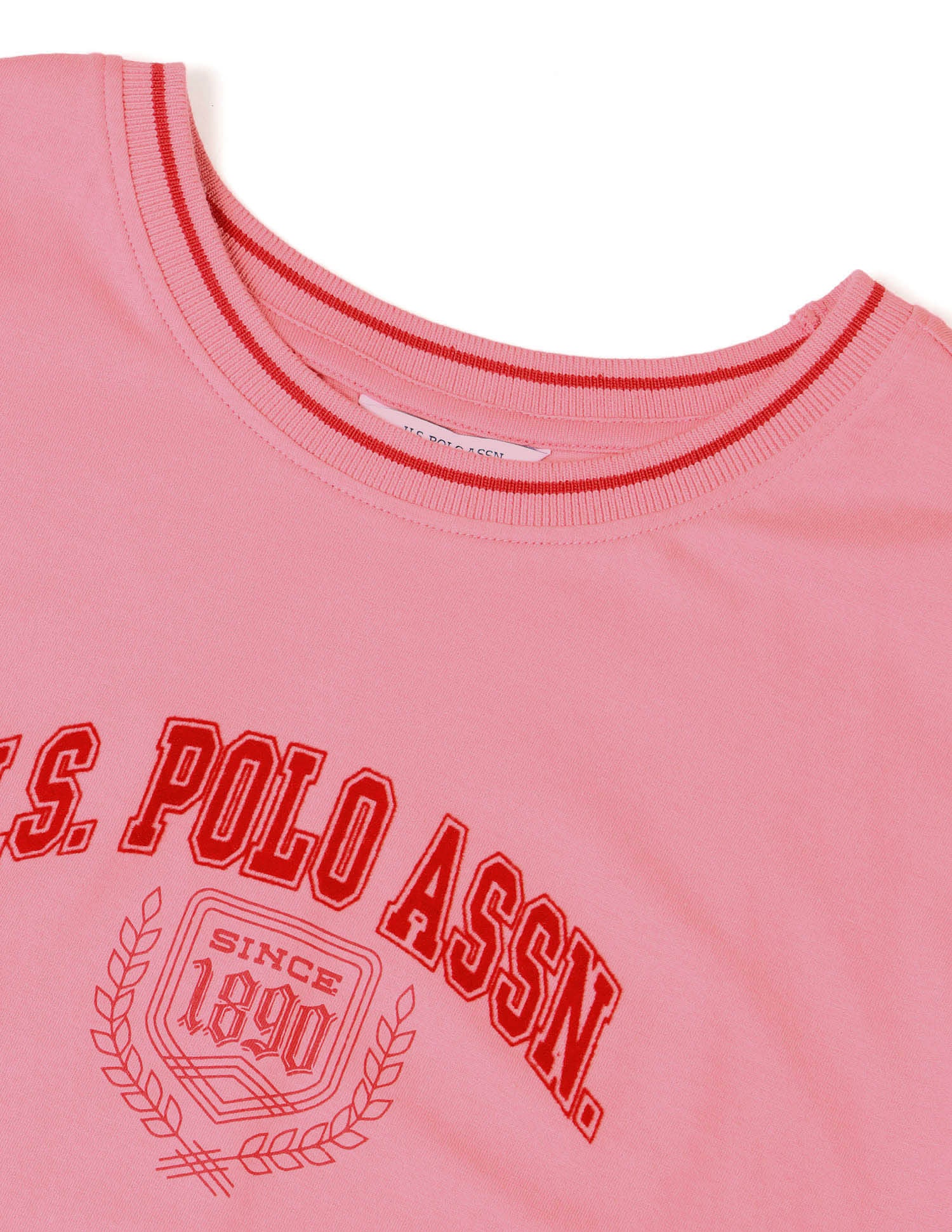 Regular Fit Brand Printed T-Shirt Pink - U.S. POLO ASSN. | Large