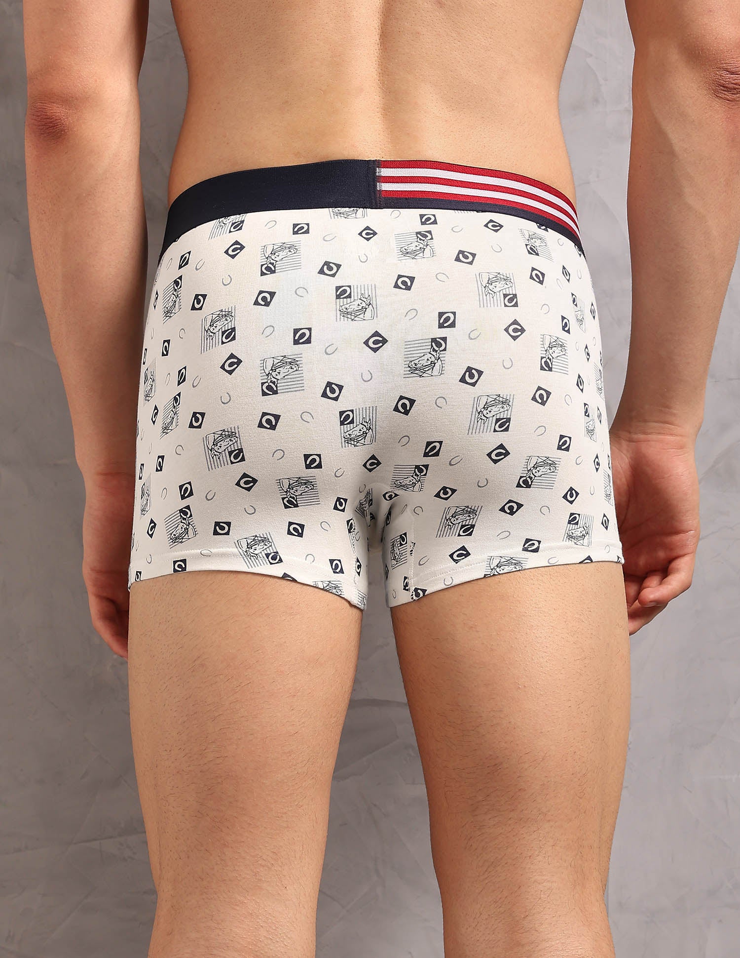 Printed Low Rise OET20 Trunks - Pack Of 3 Ivory, Asphalight and Uspa Black - U.S. Polo Assn. India | Large