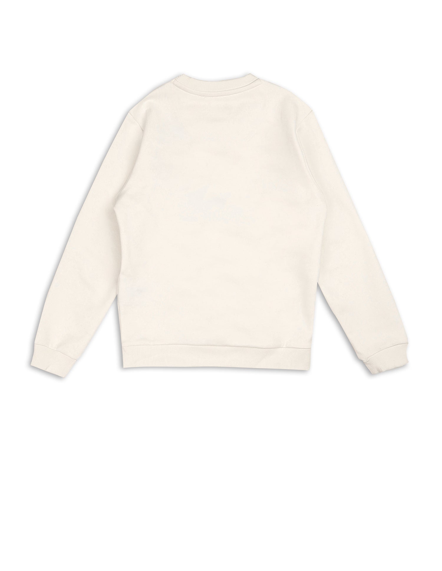 Boys Brand Embroidered Regular Fit Sweatshirt White - U.S. POLO ASSN. | Large