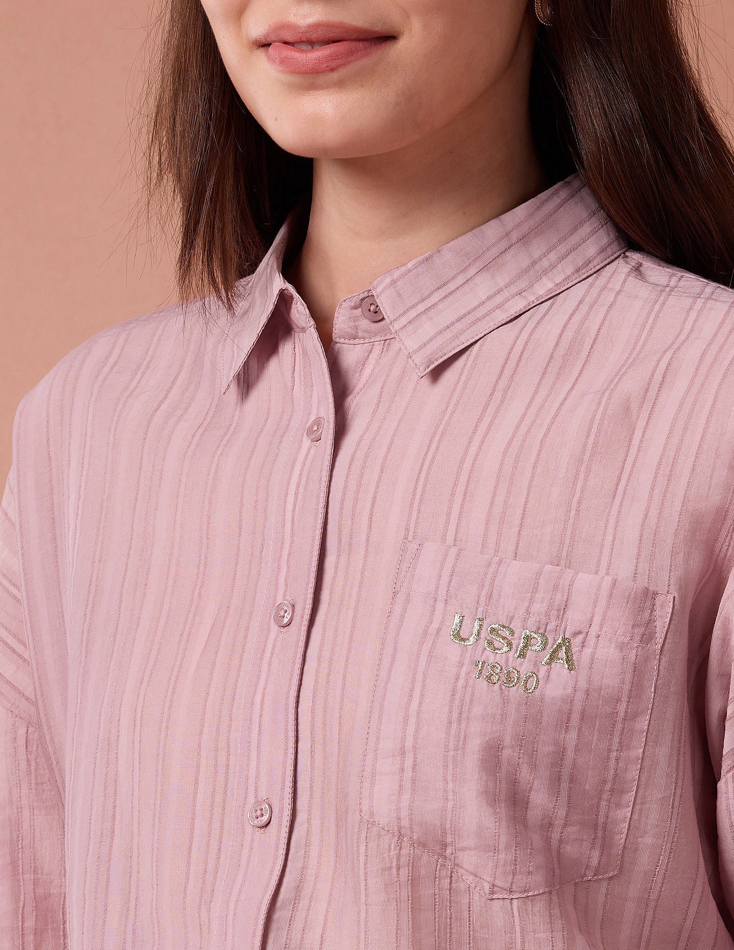 Brand Embroidered Vertical Stripe Shirt Pink - U.S. POLO ASSN. | Large