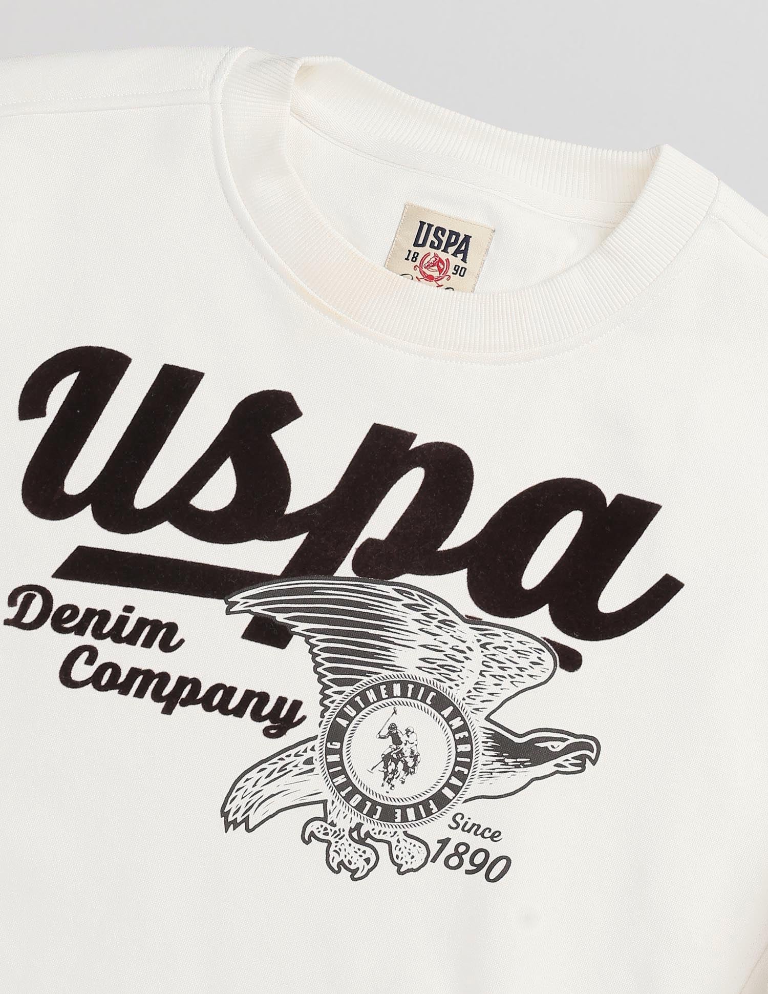 Graphic Brand Printed Sweatshirt Ecru - U.S. POLO ASSN. | Large