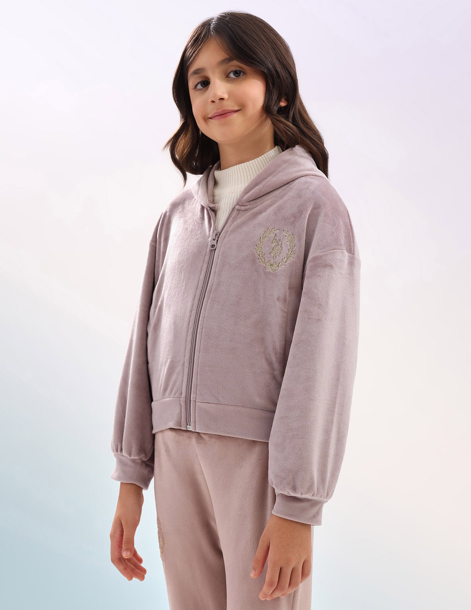 Solid Regular Fit Sweatshirt Pink - U.S. Polo Assn. India | Large