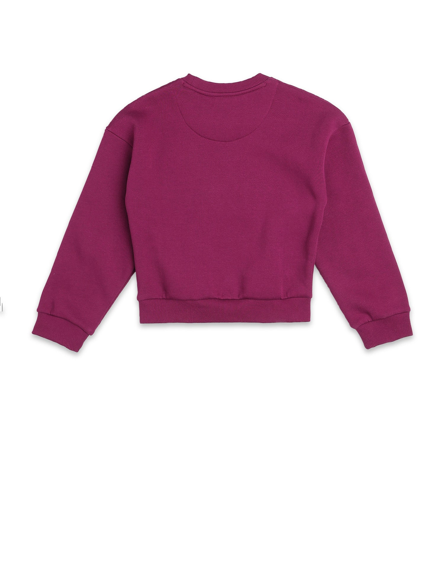 Brand Printed Regular Fit Sweatshirt Wine - U.S. POLO ASSN. | Large