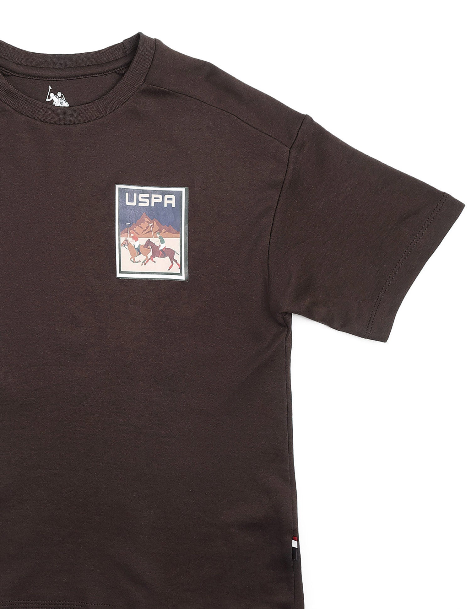 Boys Graphic Brand Printed Boxy Fit T Shirt Dark Brown - U.S. POLO ASSN. | Large