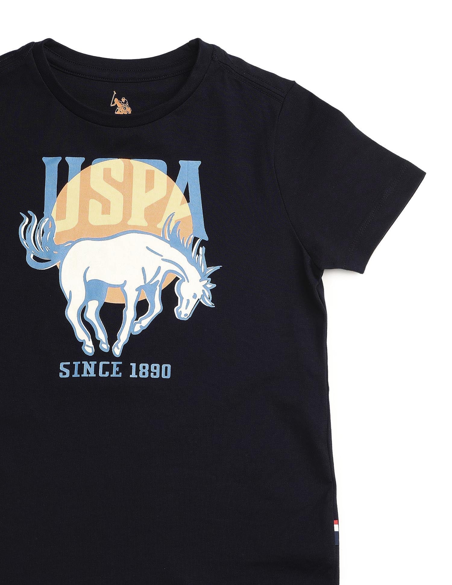 Boys Graphic Brand Printed Regular Fit T-Shirt Blue - U.S. POLO ASSN. | Large