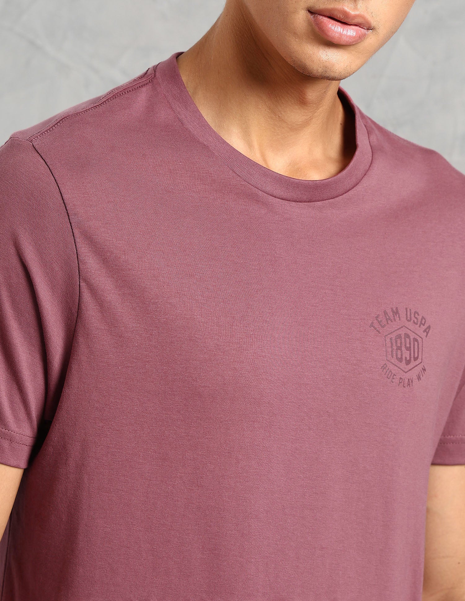 Comfort Fit Solid Cotton IYAL Lounge T-Shirt - Pack Of 2 Deep Blue and Deep Wood - U.S. POLO ASSN. | Large