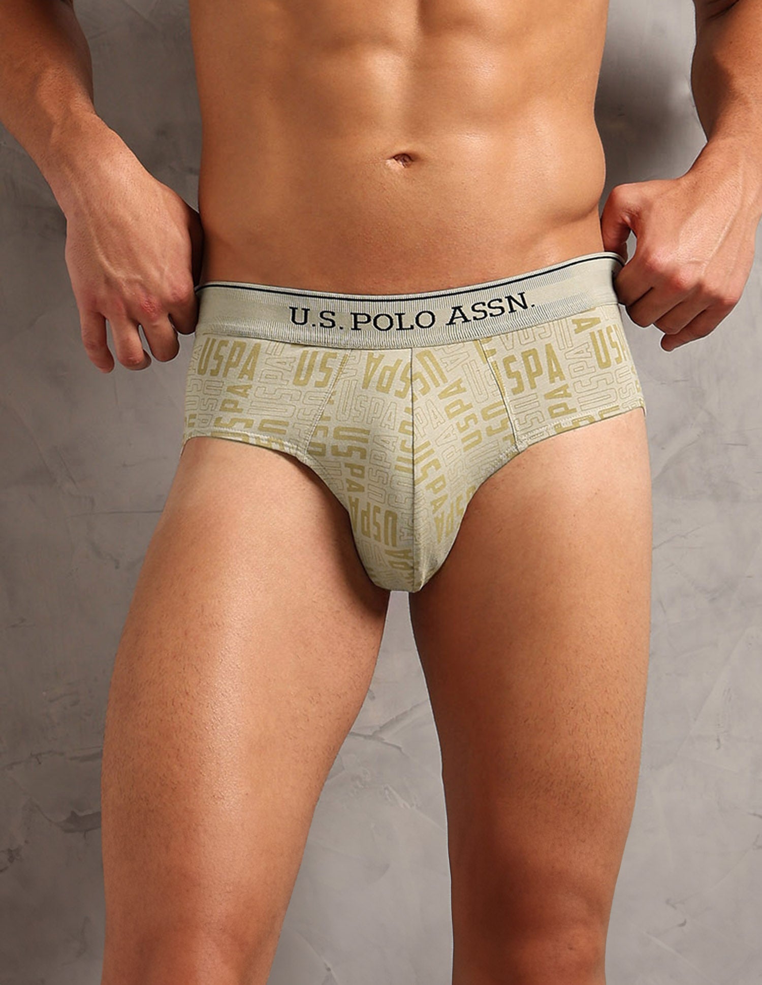 Moisture Wicking Cotton OEB17 Briefs - Pack Of 3 Aop Antle, Aop Oatmeal and Granite Green - U.S. POLO ASSN. | Large