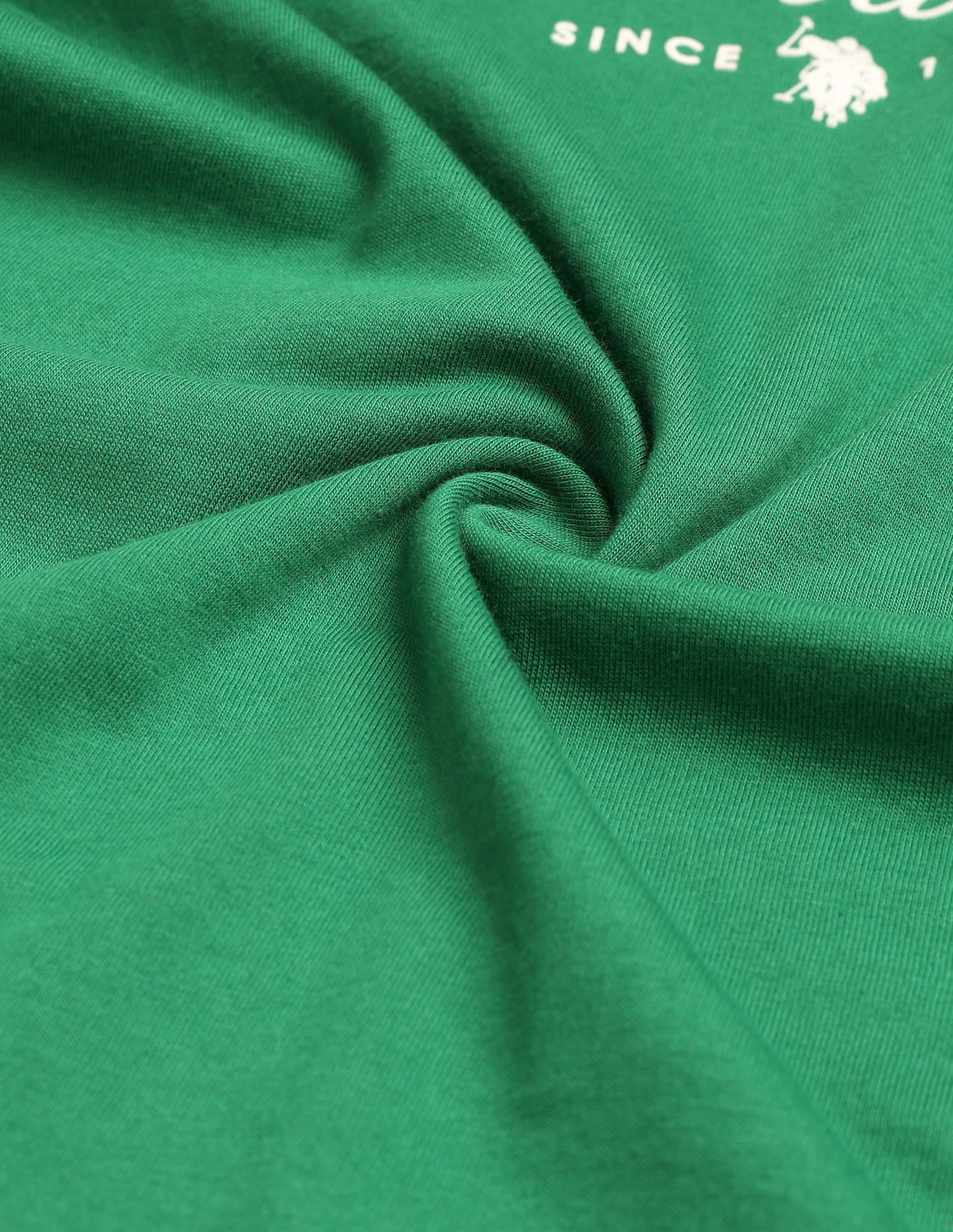 Regular Fit Brand Printed T-Shirt Green - U.S. Polo Assn. India | Large