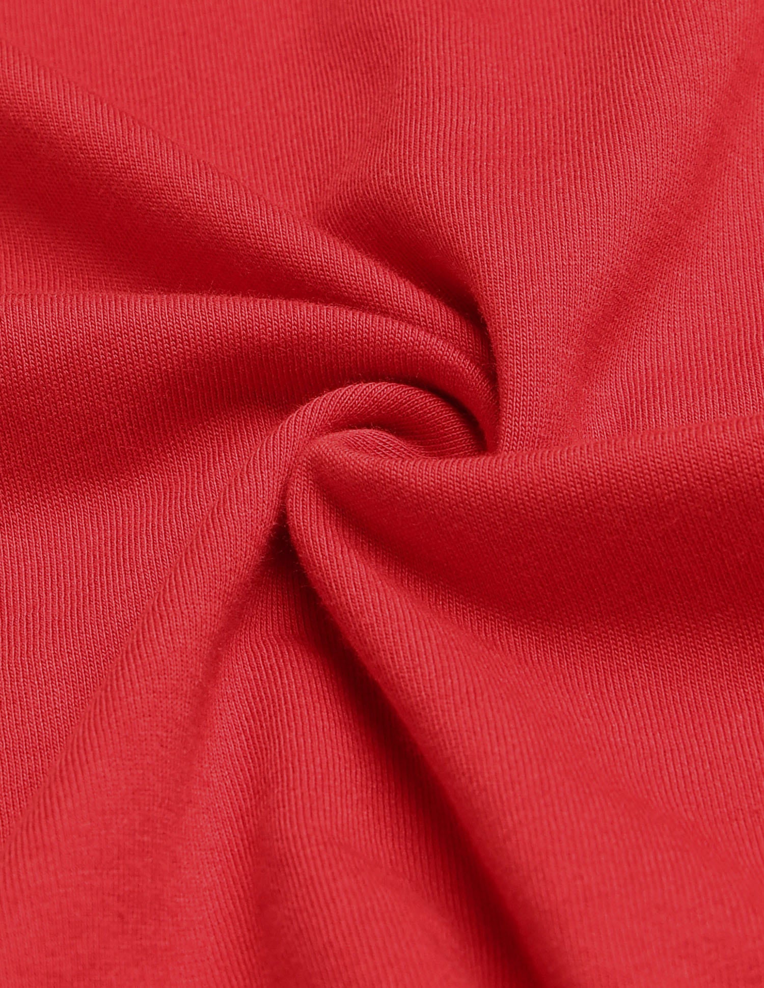 Regular Fit Brand Printed T-Shirt Red - U.S. Polo Assn. India | Large