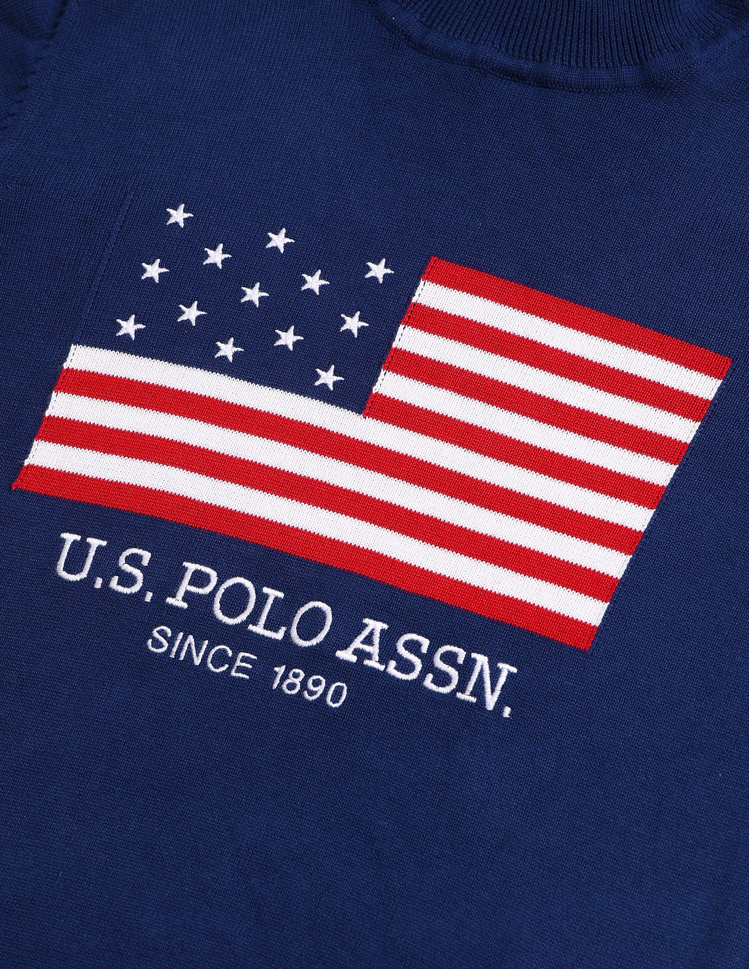 Brand Printed Turtle Neck Sweater Navy - U.S. Polo Assn. India | Large