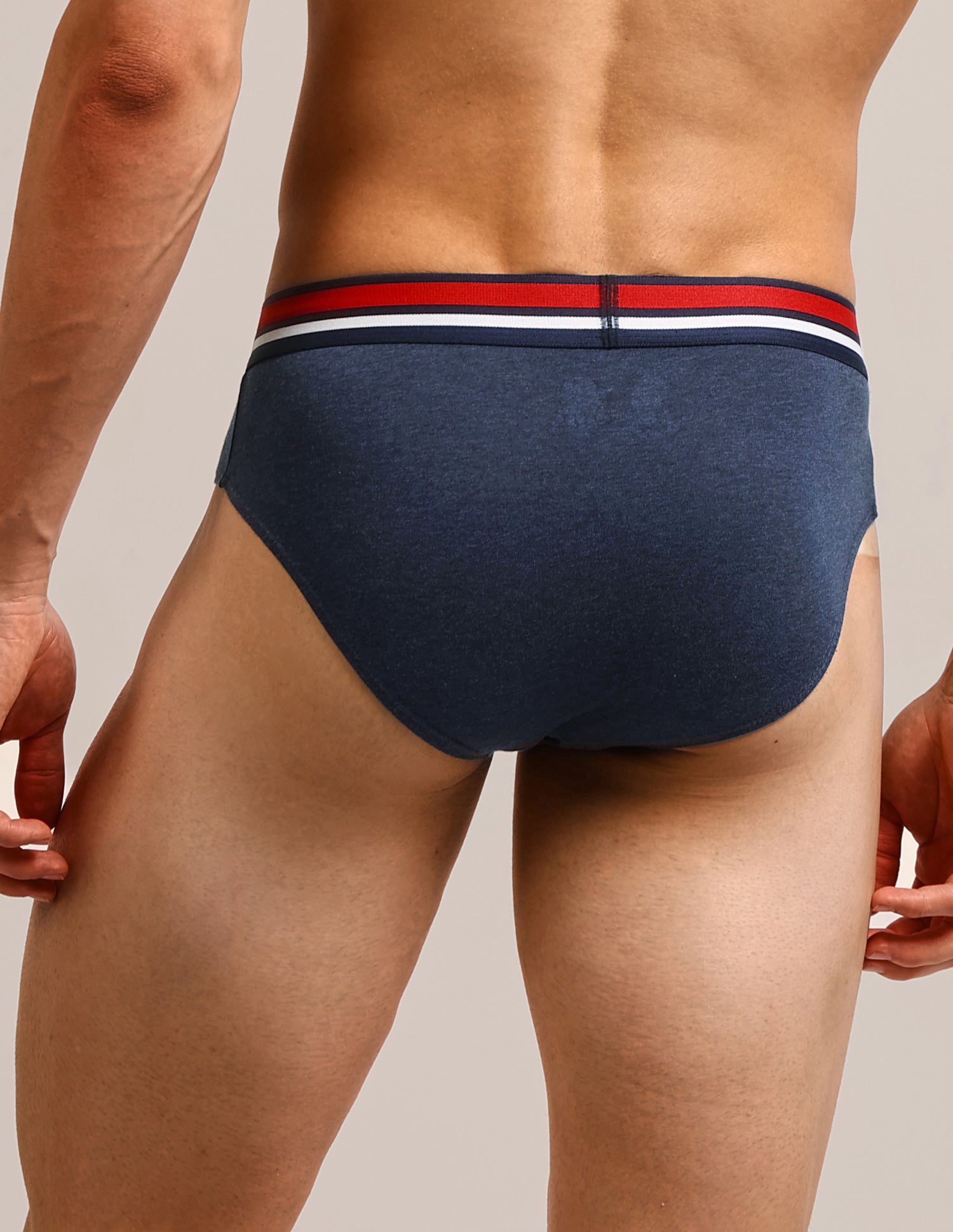 Solid Cotton I006-P5 Briefs - Pack Of 5 Multi-colour - U.S. Polo Assn. India | Large