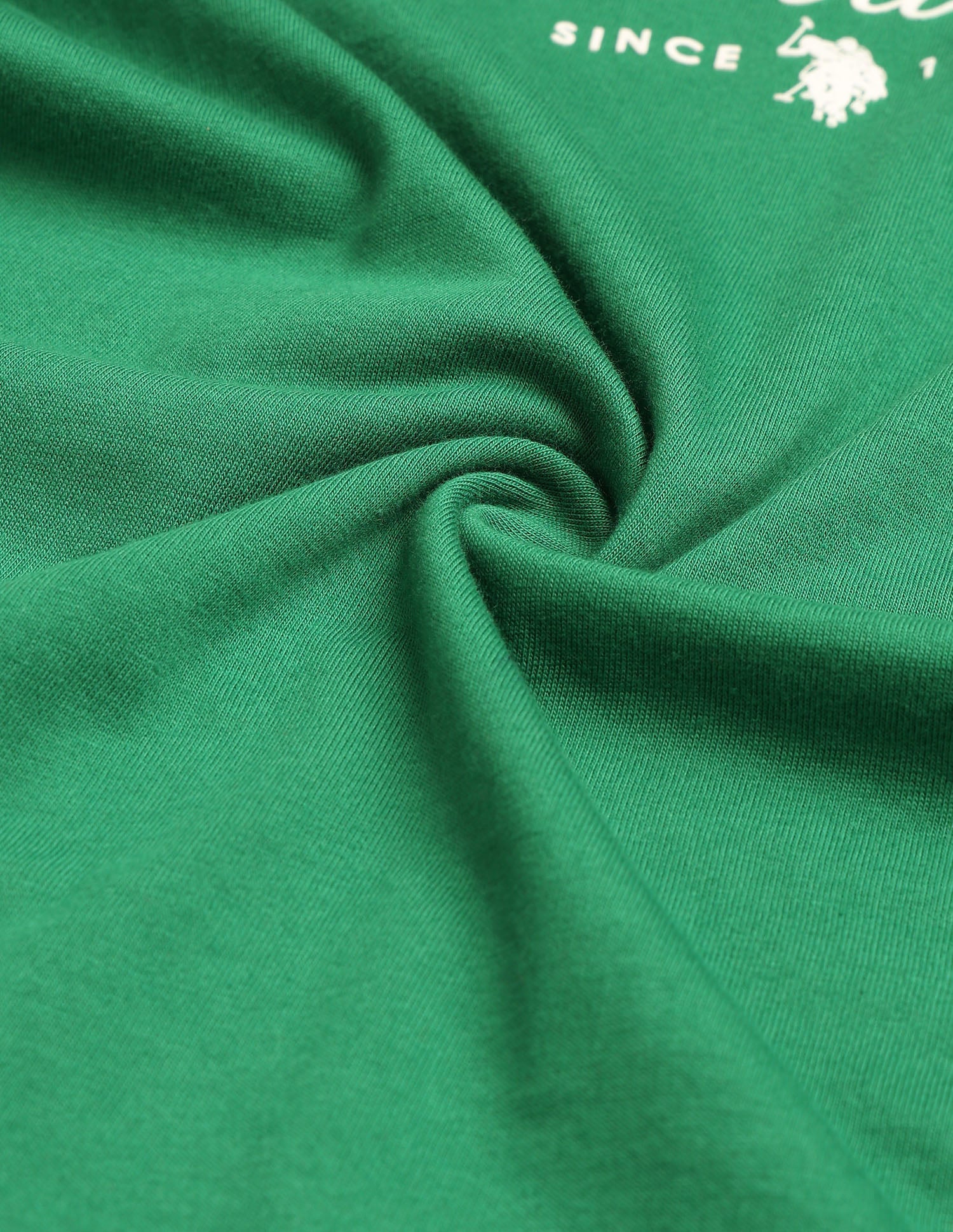 Regular Fit Brand Printed T-Shirt Green - U.S. Polo Assn. India | Large