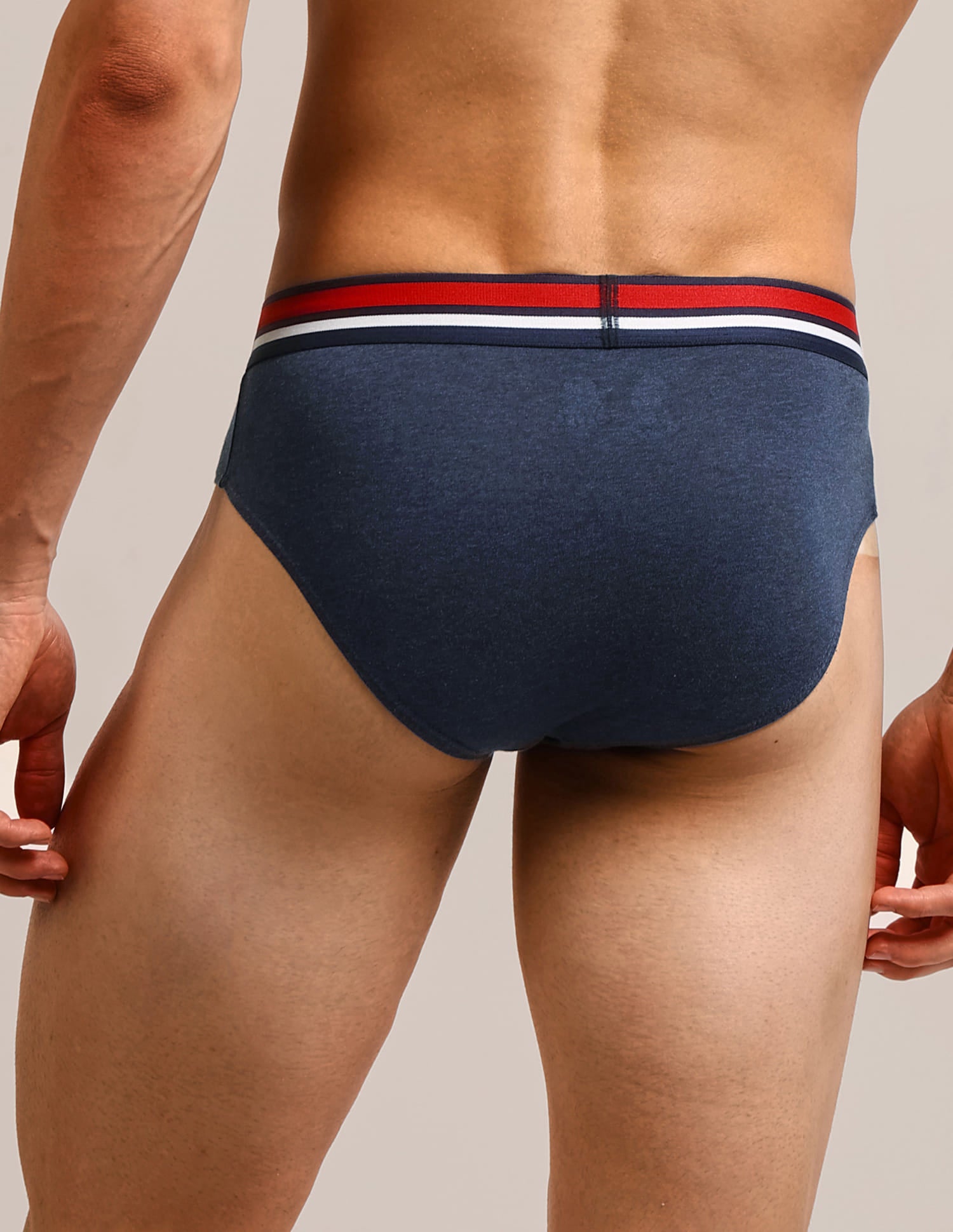 Solid Cotton I006-P5 Briefs - Pack Of 5 Multi-colour - U.S. Polo Assn. India | Large