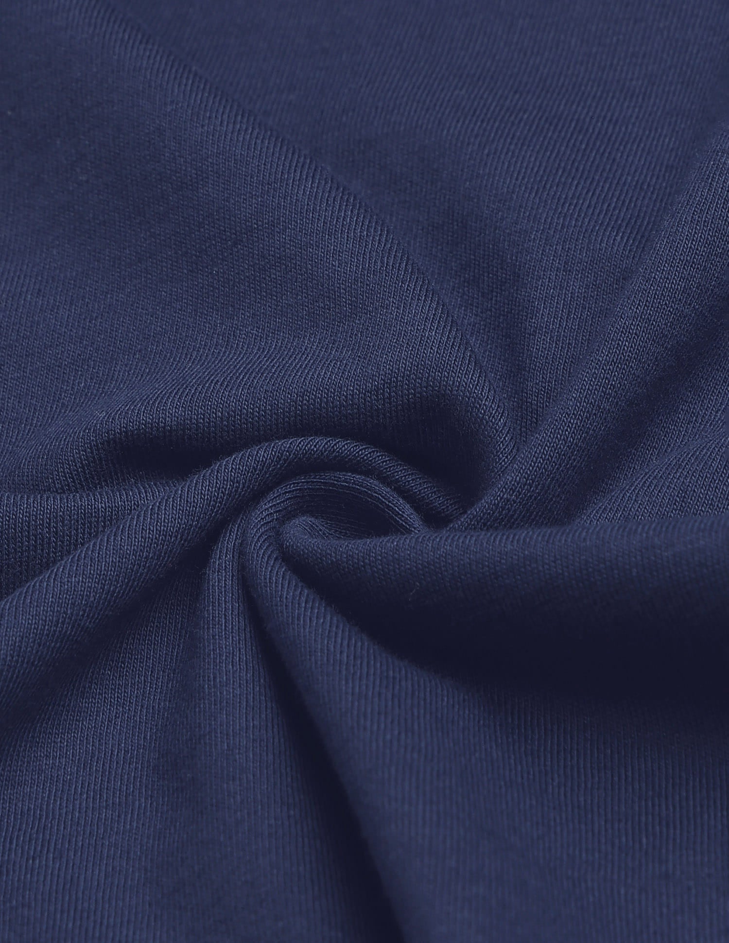 Regular Fit Brand Printed T-Shirt Blue - U.S. Polo Assn. India | Large