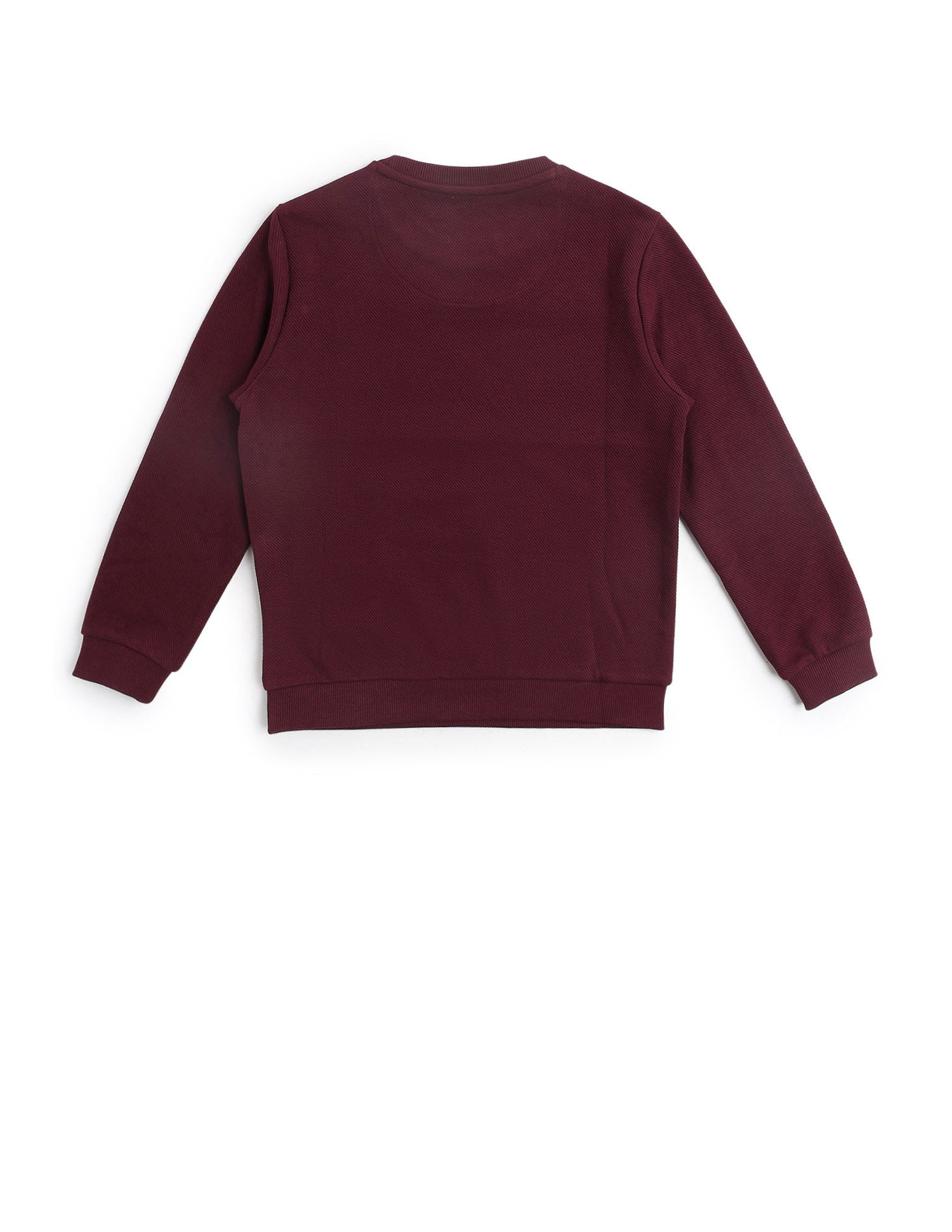 Boys Brand Embroidered Mini Me Sweatshirt Dark Red - U.S. POLO ASSN. | Large