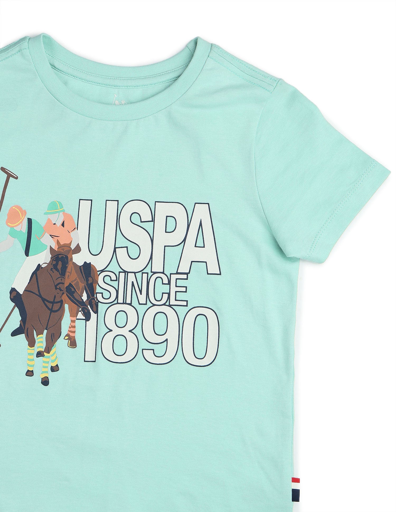 Boys Graphic Brand Printed Regular Fit T Shirt Mint - U.S. POLO ASSN. | Large