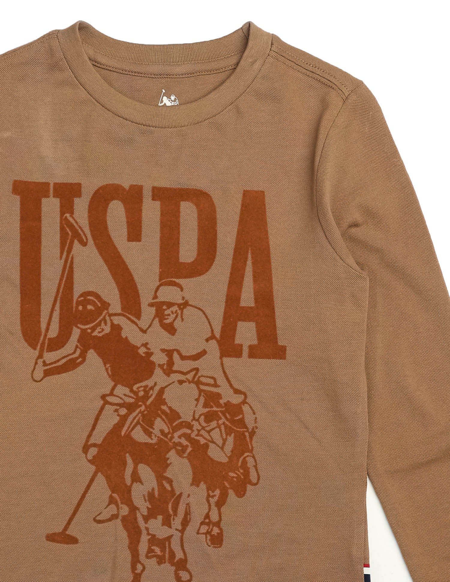 Boys Graphic Brand Printed Regular Fit T Shirt Light Brown - U.S. POLO ASSN. | Large