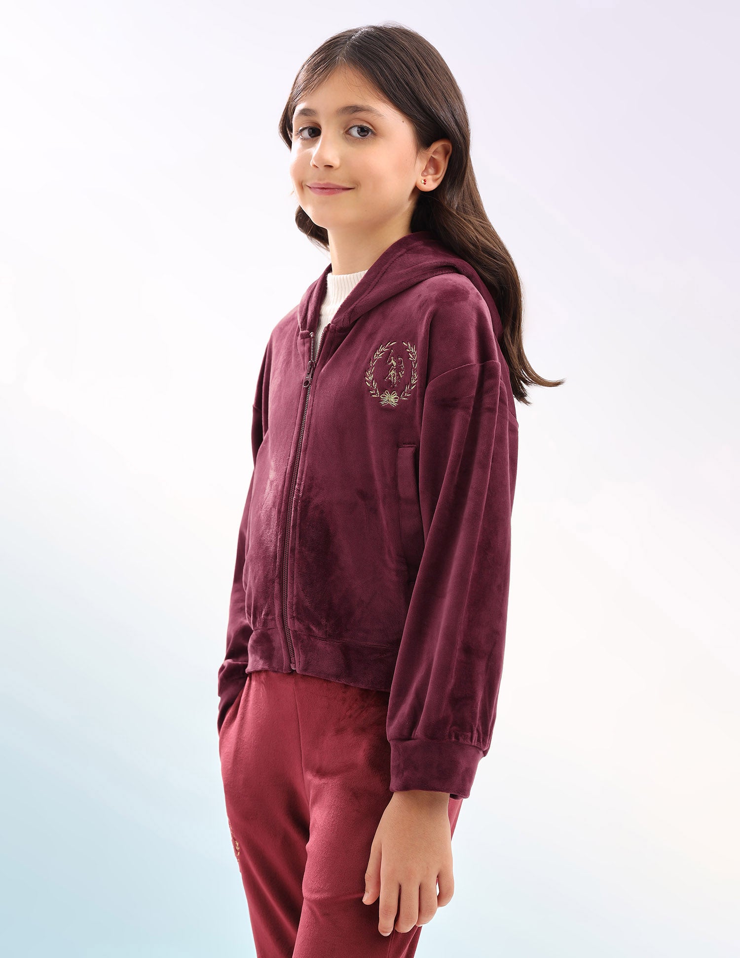 Solid Regular Fit Sweatshirt Wine - U.S. Polo Assn. India | Large