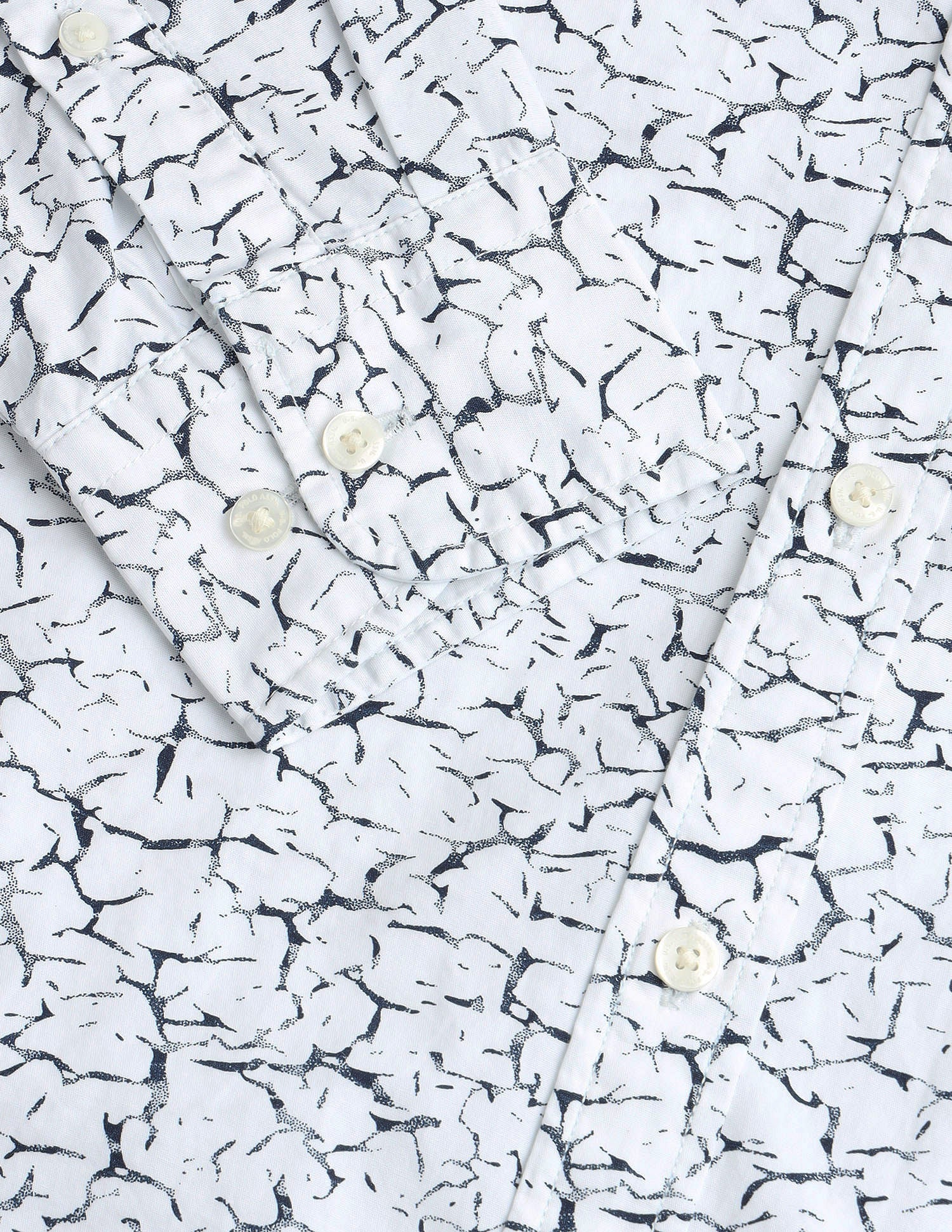 Cutaway Collar Cotton Shirt Black - U.S. Polo Assn. India | Large