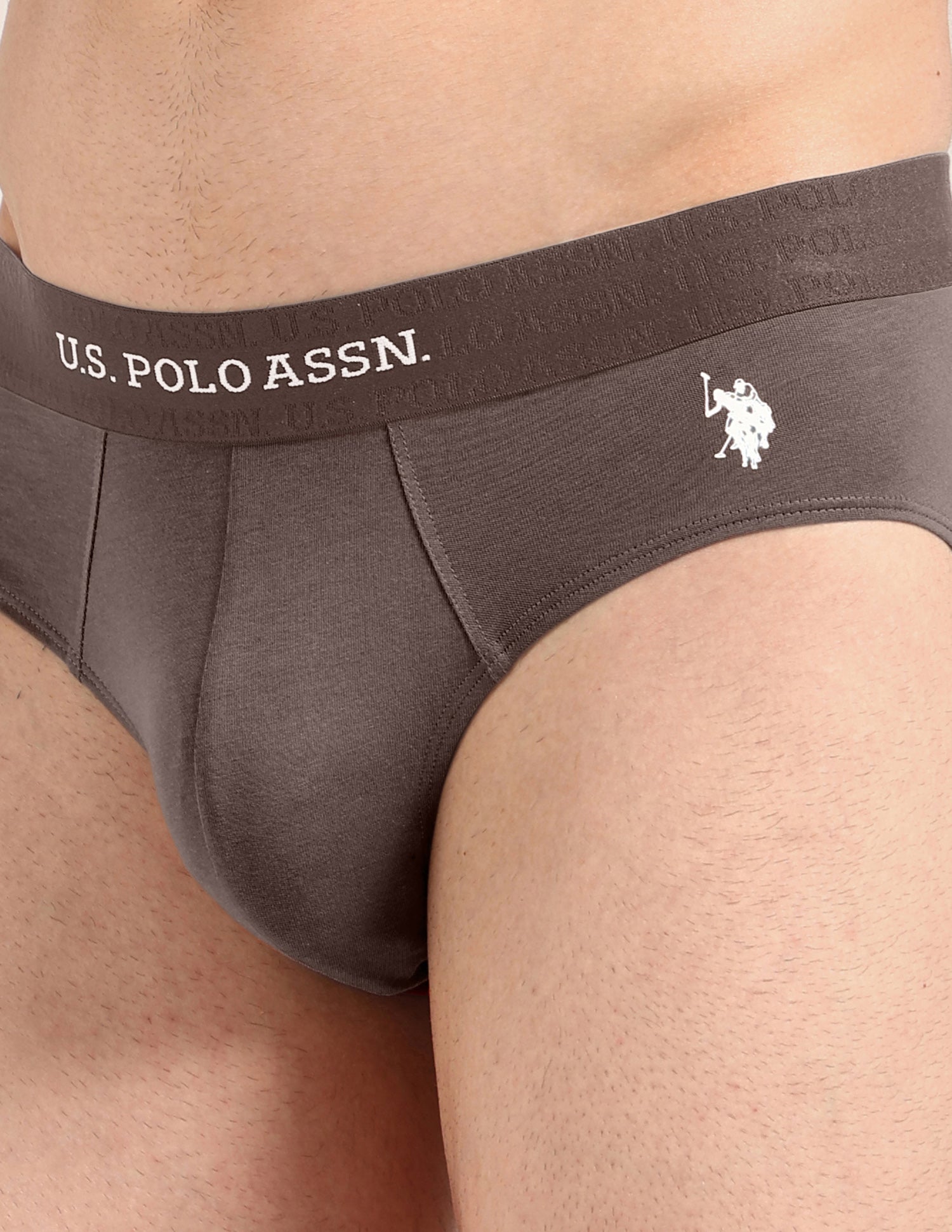 Antibacterial Dual Layered OEB21 Brief - Pack Of 2 Oatmeal/Mulch - U.S. Polo Assn. India | Large