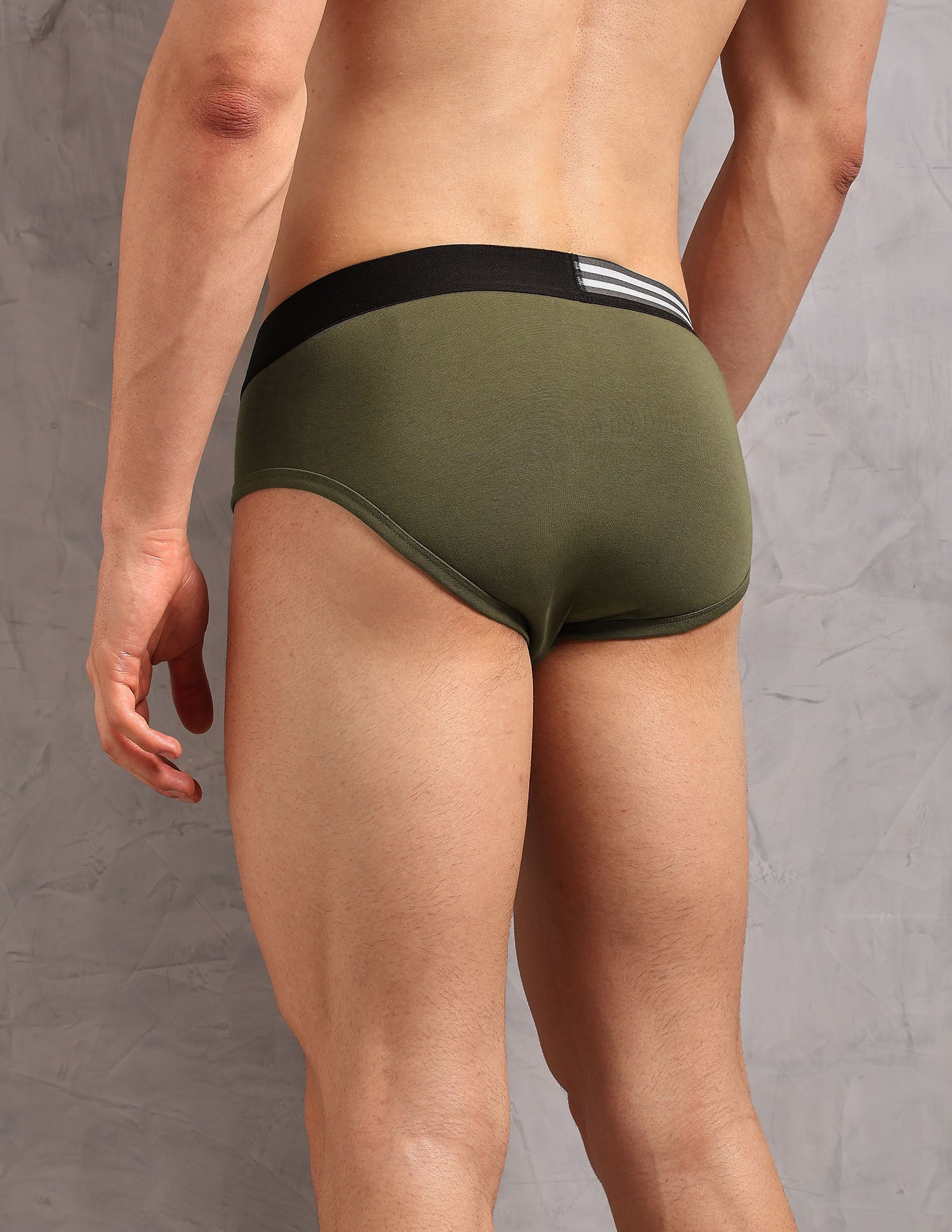 Striped Waistband OEB19 Briefs - Pack Of 2 Coco Creme and Dark Olive - U.S. Polo Assn. India | Large