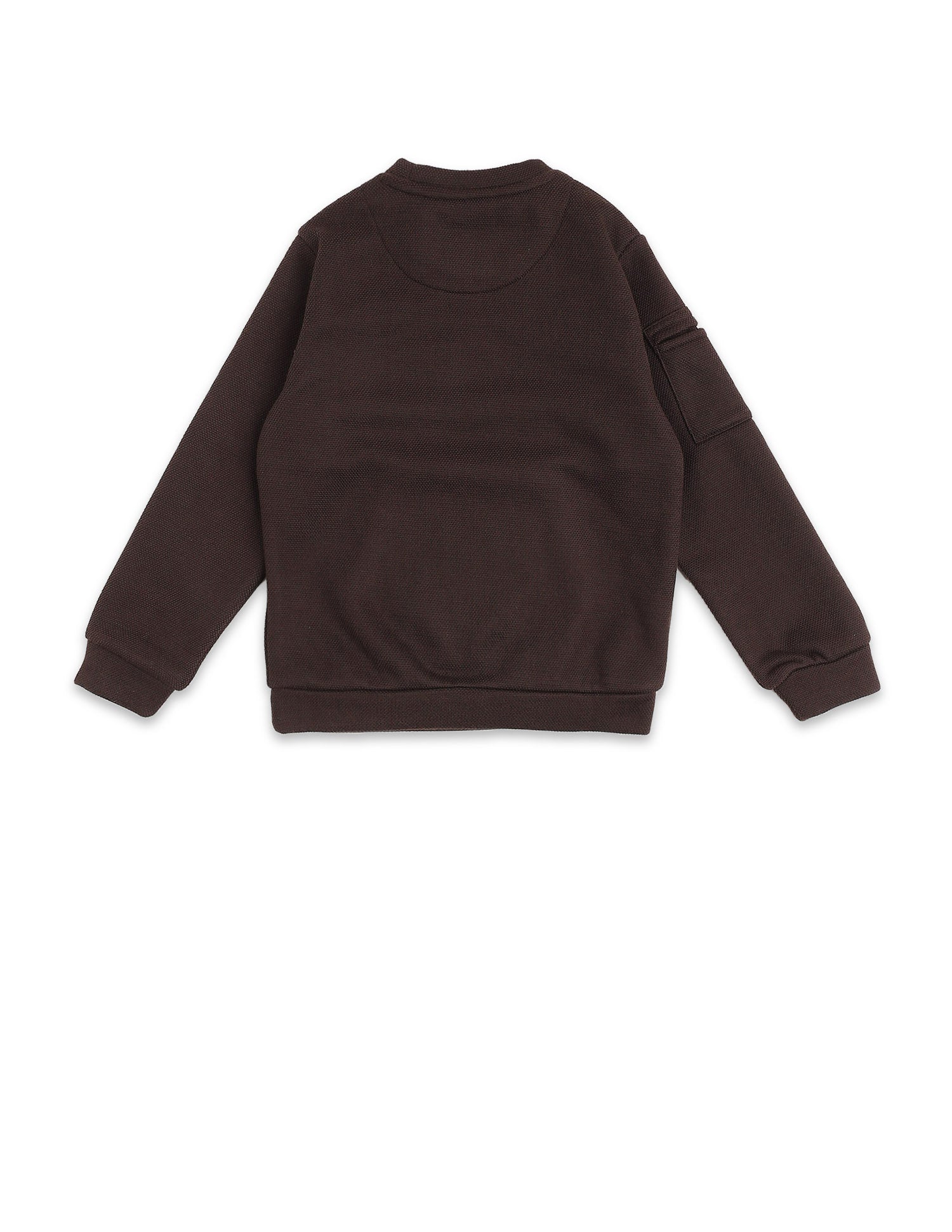 Boys Brand Embroidered Regular Fit Sweatshirt Light Brown - U.S. POLO ASSN. | Large