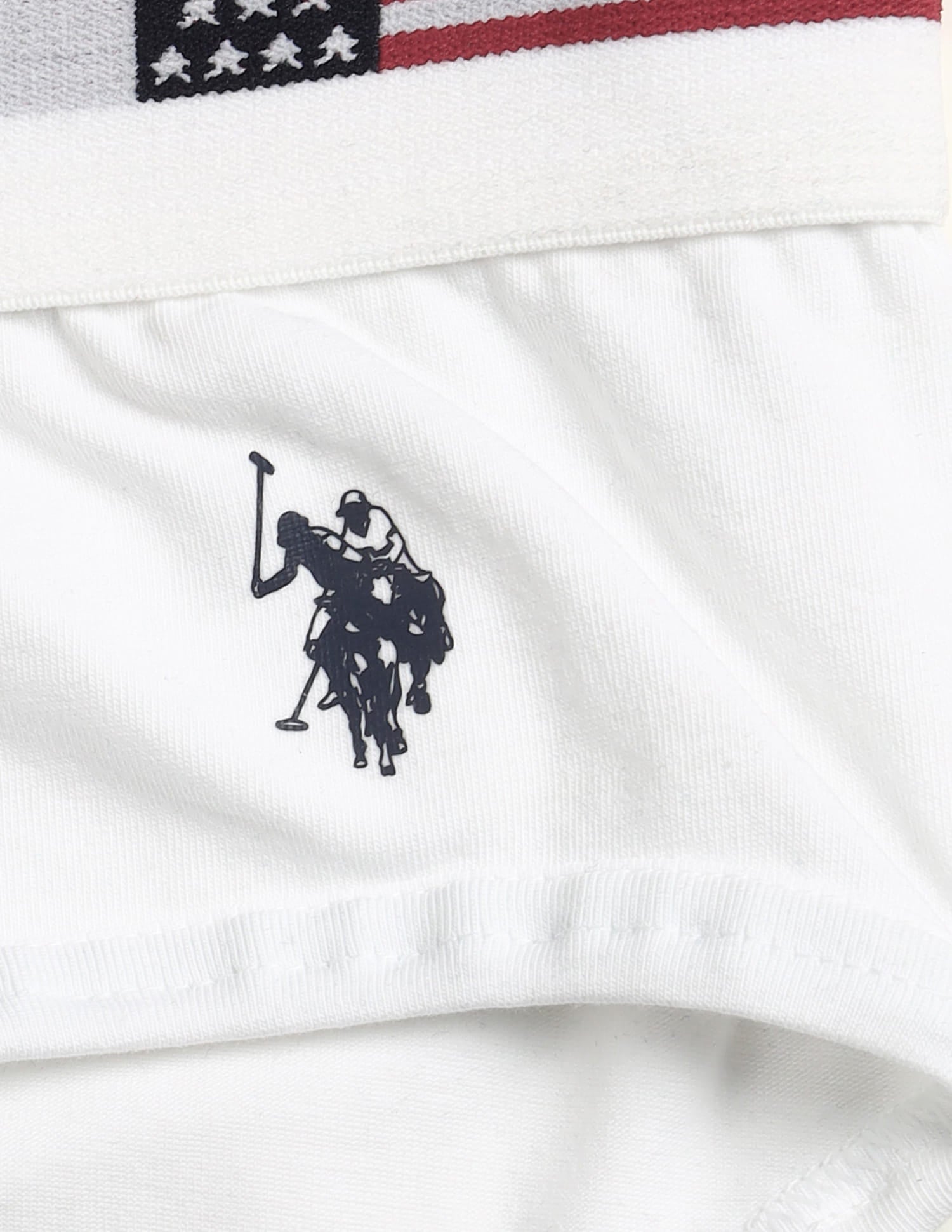 Y9I650-001-PL White Mens Briefs White - U.S. Polo Assn. India | Large