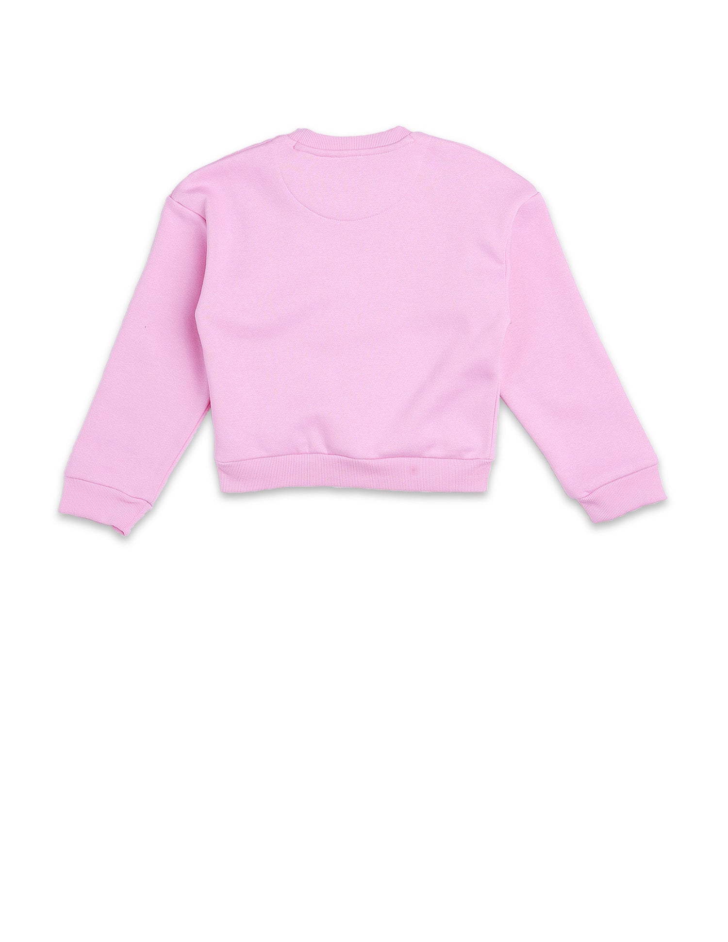 Graphic Printed Regular Fit Sweatshirt Pink - U.S. POLO ASSN. | Large