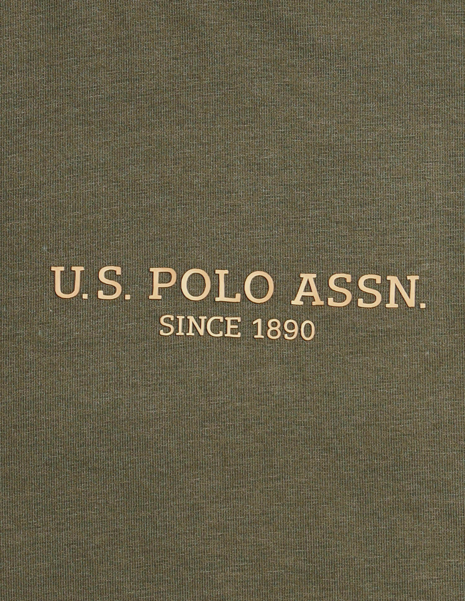 Brethable Full Sleeve PE006-PL Lounge T-Shirt - Pack Of 1 Ivy Green - U.S. Polo Assn. India | Large