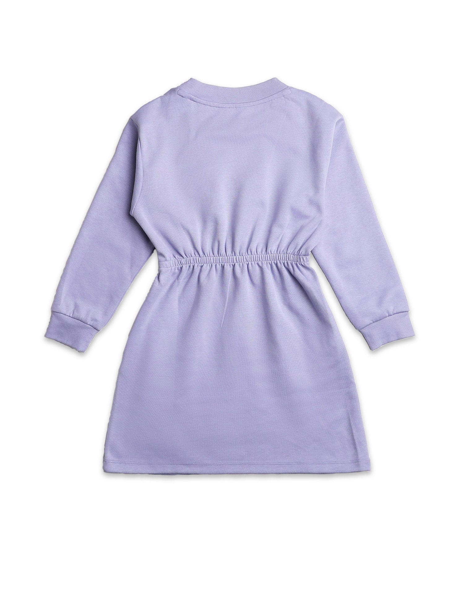 Girls Crew Neck Fit And Flare Dress Light Purple - U.S. POLO ASSN. | Large
