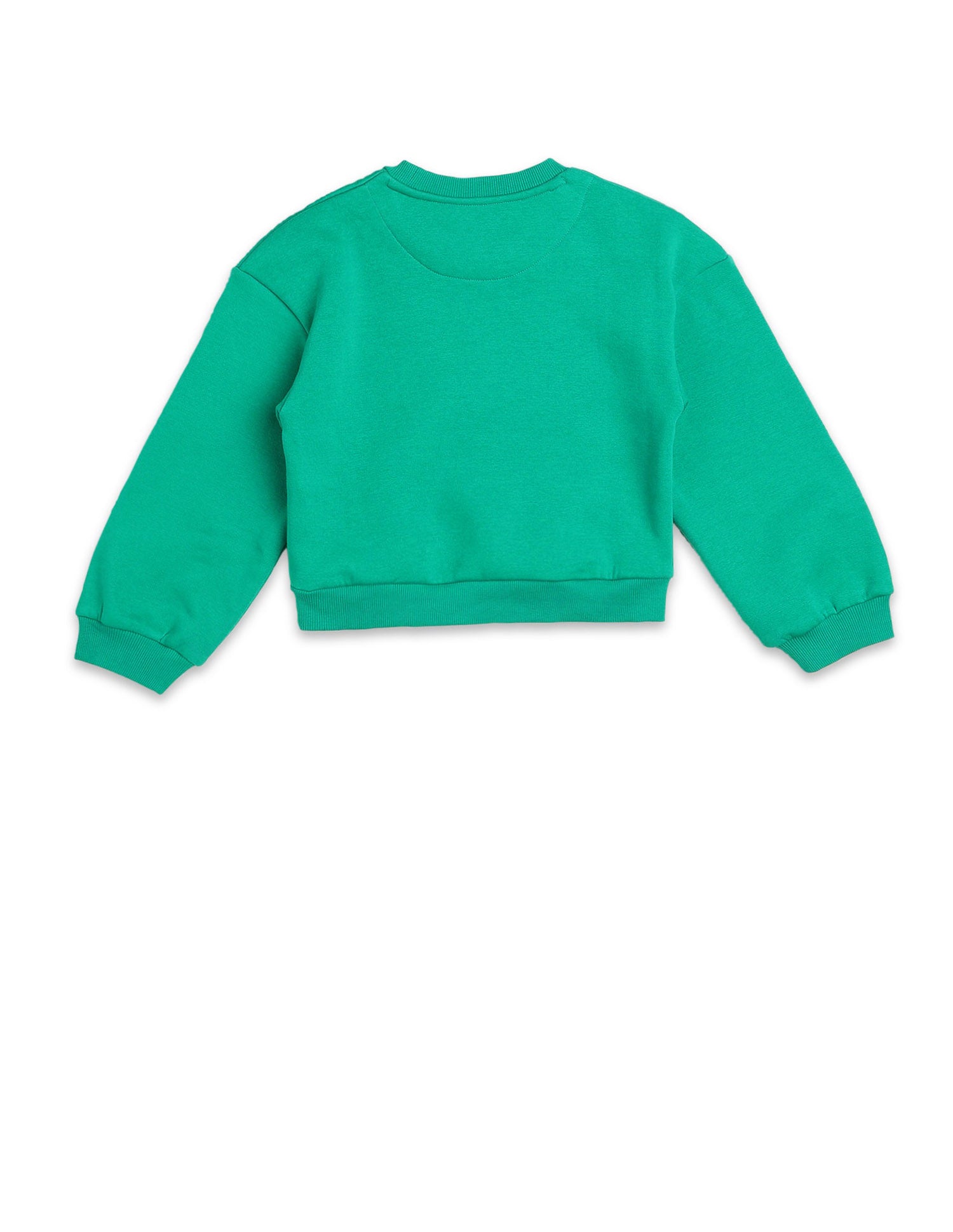 Brand Embellished Regular Fit Sweatshirt Green - U.S. POLO ASSN. | Large