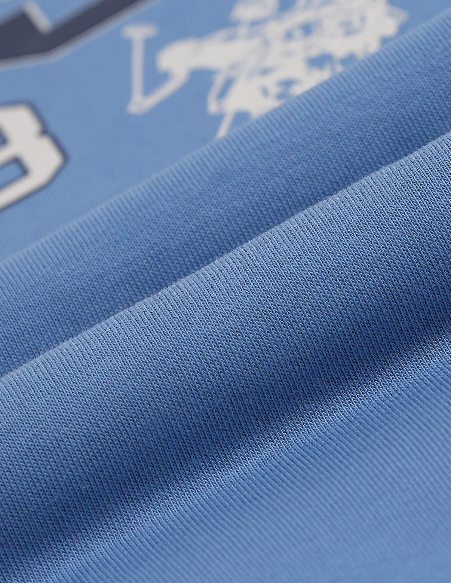 Crew Neck Brand Printed Sweatshirt Blue - U.S. Polo Assn. India | Large