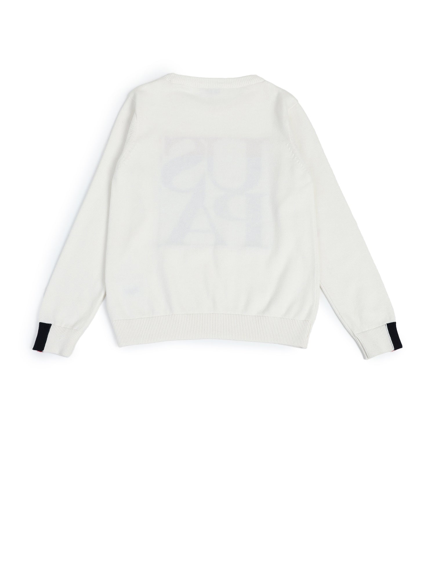 Boys Brand Printed Regular Fit Sweater White - U.S. POLO ASSN. | Large