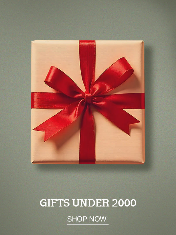  - U.S. POLO ASSN. | Large