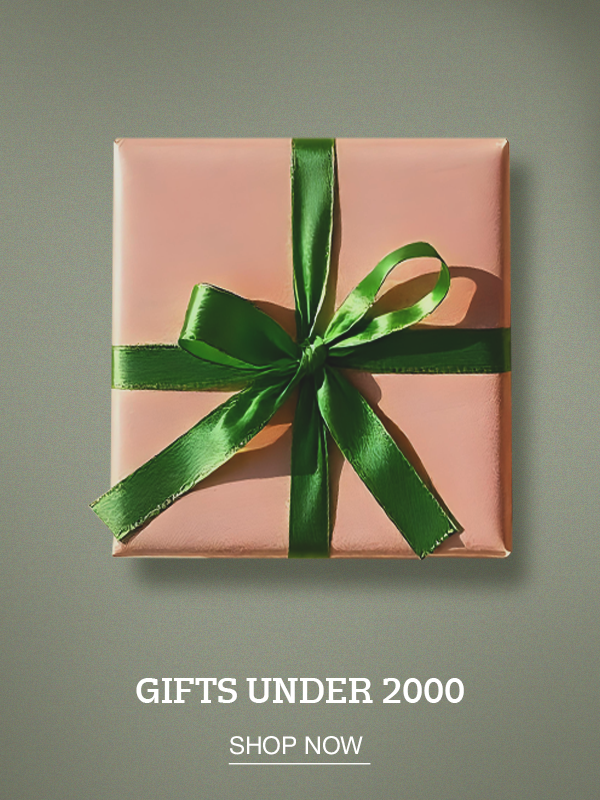  - U.S. POLO ASSN. | Large