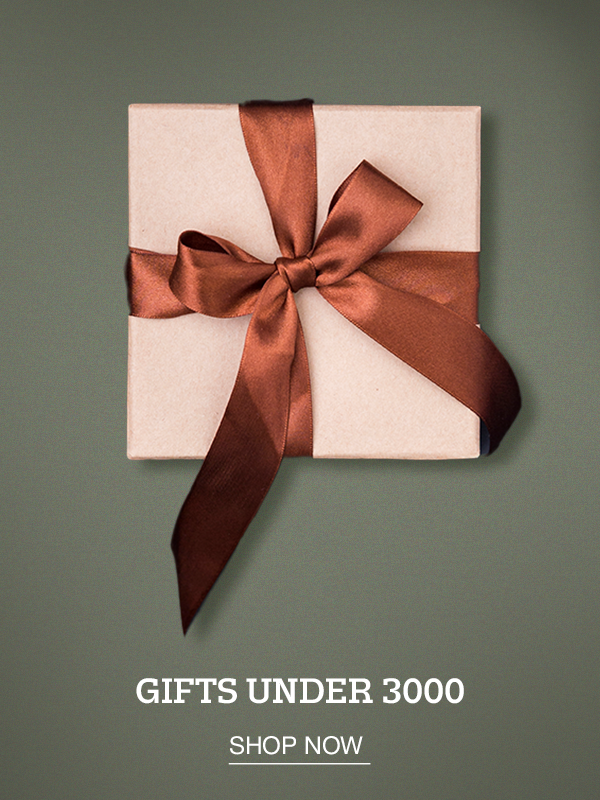  - U.S. POLO ASSN. | Large