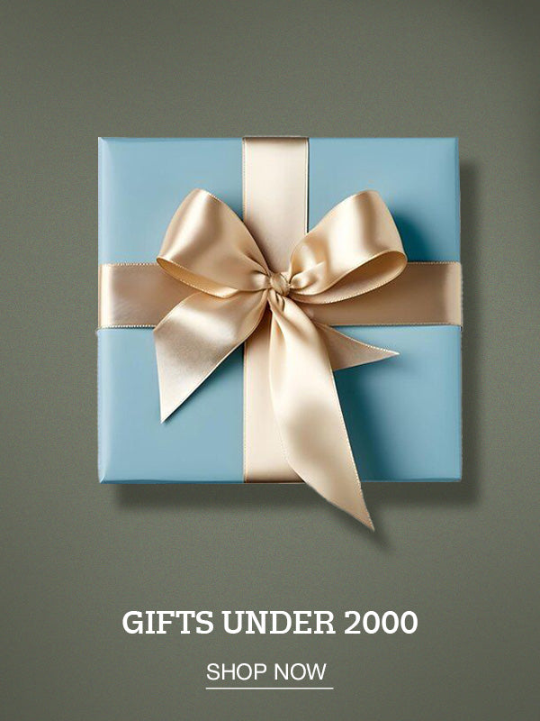  - U.S. POLO ASSN. | Large