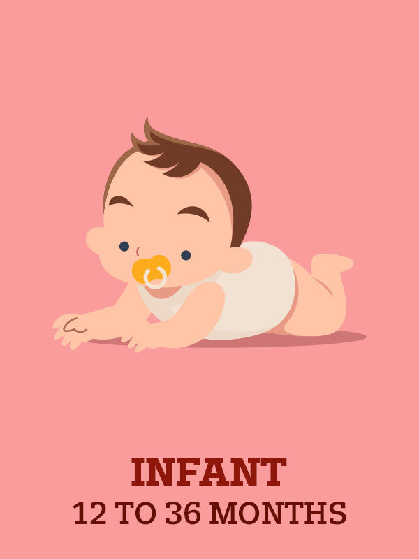  - U.S. POLO ASSN. | Large