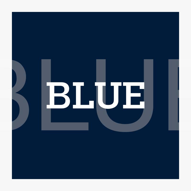  - U.S. POLO ASSN. | Large