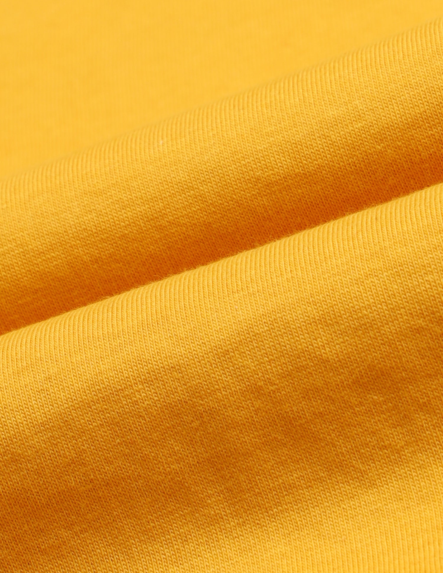 Boys Crew Neck Graphic Printed T-Shirt Gold - U.S. POLO ASSN. | Large