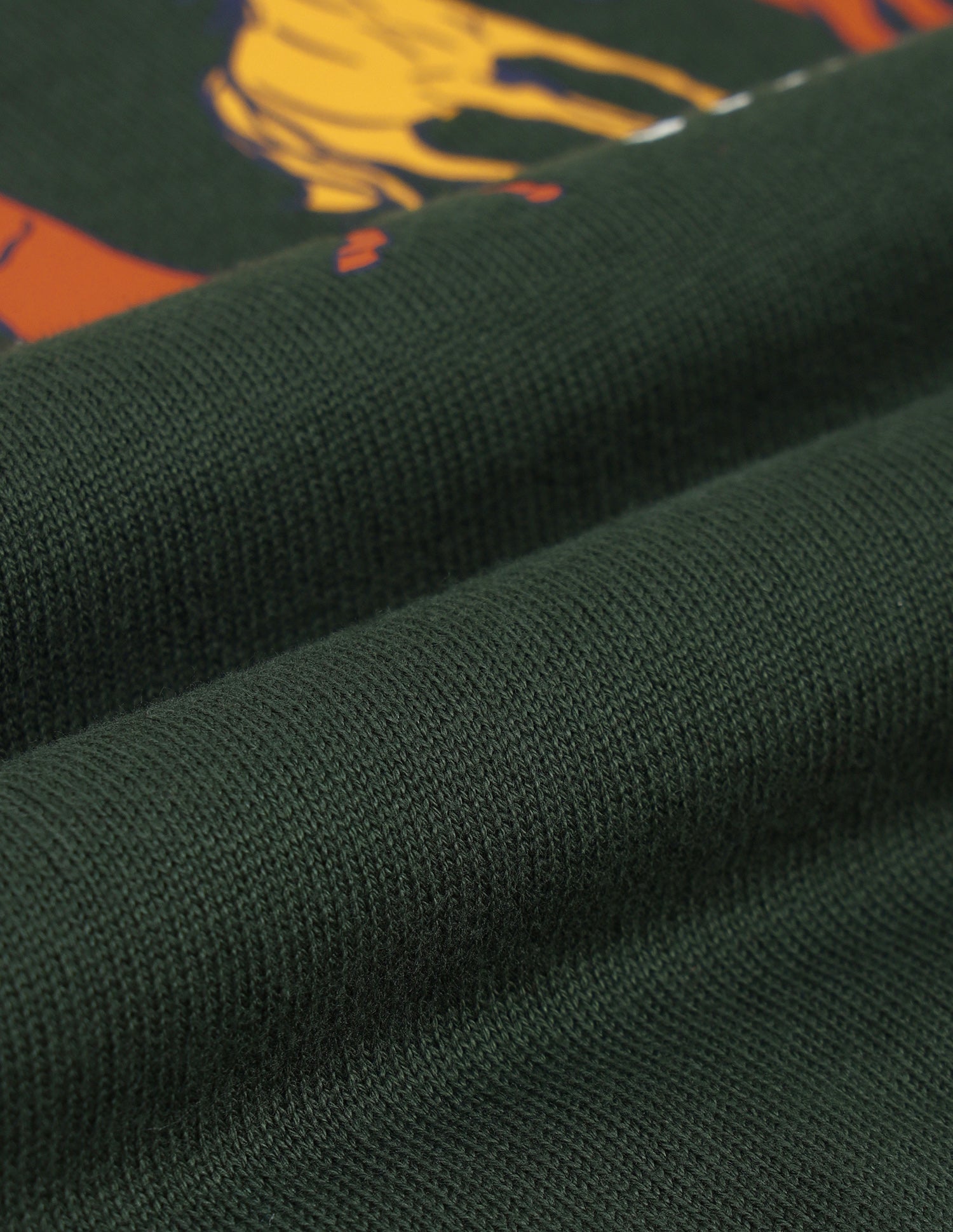 Boys Regular Fit Brand Printed Sweater Dark Green - U.S. POLO ASSN. | Large