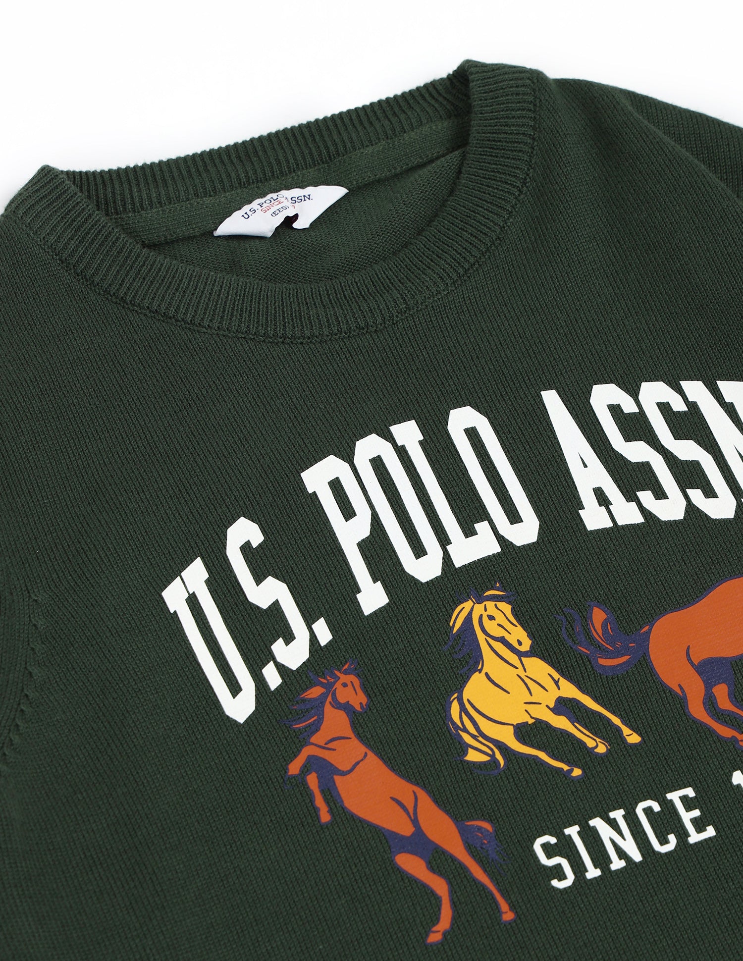Boys Regular Fit Brand Printed Sweater Dark Green - U.S. POLO ASSN. | Large