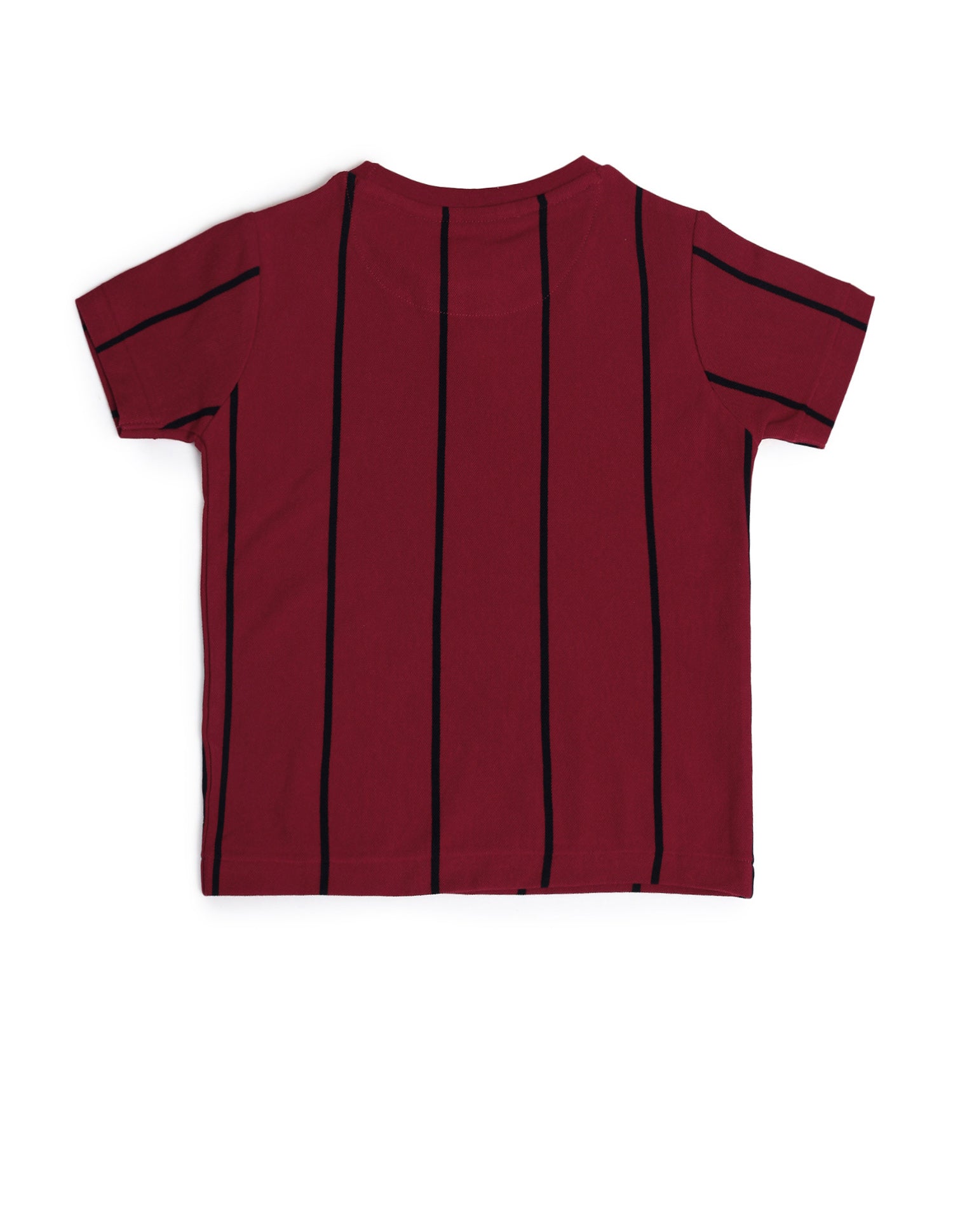 Boys Crew Neck Vertical Striped T-Shirt Multi - U.S. Polo Assn. India | Large