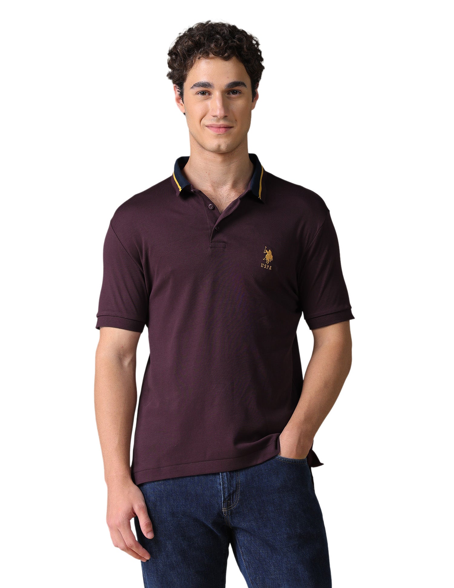 Solid Regular Fit Polo Shirt Purple - U.S. Polo Assn. India | Large